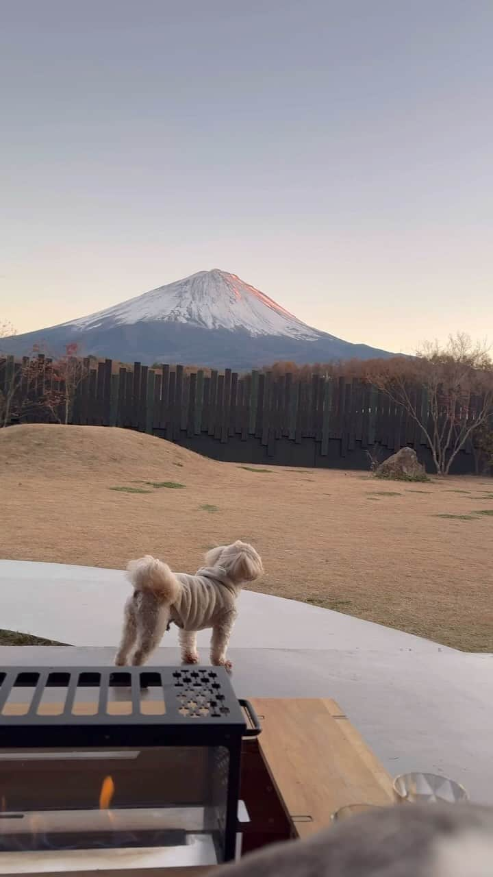 黒田莉来のインスタグラム：「𝘢𝘣𝘳𝘢𝘴𝘶𝘴 𝘩𝘰𝘶𝘴𝘦 𝘧𝘶𝘫𝘪 ⛰️🍁   久しぶりの家族旅行は、ずっと行きたかった場所へ♡ @abrasushouse   みんなでかけっこしたり、ゲームで遊んだり、ご飯を作ったり、サウナに入ったり…… やること盛りだくさんでした🧖✨  普段なかなかできないコミュニケーションを 家族と取ることができて、とっても充実した時間だったな🐕  懐かしの竹馬があったのだけど 唯一、お母さんだけ乗れてて笑った🤣🤣  他の宿ではなかなか作れない思い出を 家族とたくさん作ることができて abrasusでの思い出が宝物になりました🥹  abrasus の裏コンセプトが "好きな人たちと、いつもよりもっとコミュニケーションをとって、関係性を良くする宿" とお聞きして、納得。  何度も行きたくなるとっておきの宿♡ とってもおすすめなのでぜひ⛰️✨  #abrasus #abrasushousefuji #pr」