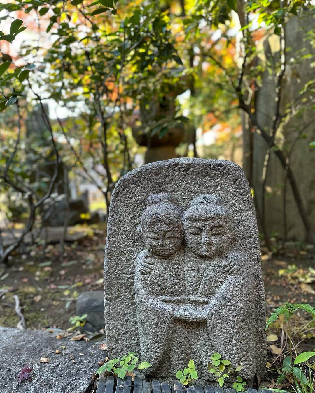 小谷あゆみさんのインスタグラム写真 - (小谷あゆみInstagram)「近所のお寺さん 美しかった 今日は朝からちょっとしたことがあり、なんか嫌気がさしていた、けど、 やはり美しい方を見るしかないのだろう 今日一日をあなた自身の心の力で、よい方向に向かわせなさい。 らんまんの長田育恵さんが井上ひさしさんに言われた言葉だ。 心の力だよな。 美しいもの見ても美しいと感じるかどうかは。 何を見てもどう感じるかはこちらが決めるんだ。 いつもは静かなお寺が今日は何人もの人がやはり写真撮っていた。 鳥が木々でさえずるように人もちゃんと知ってていい季節になるとやってくる。 あしたもまた見に行ってこーようっと！これがほんまの紅葉の効用！てね！」12月6日 17時04分 - vegeanaayu