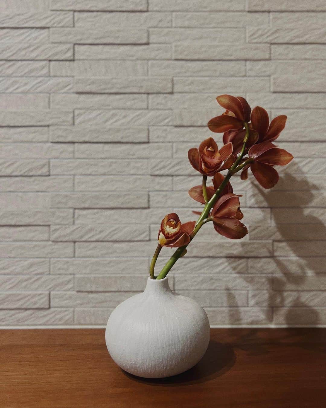 佐藤有里のインスタグラム：「Cymbidium🥀 "誠実な愛情" "飾らない心" . . たまたまだけど、予定日である12/18の誕生花だった🤱♡(嬉) .」