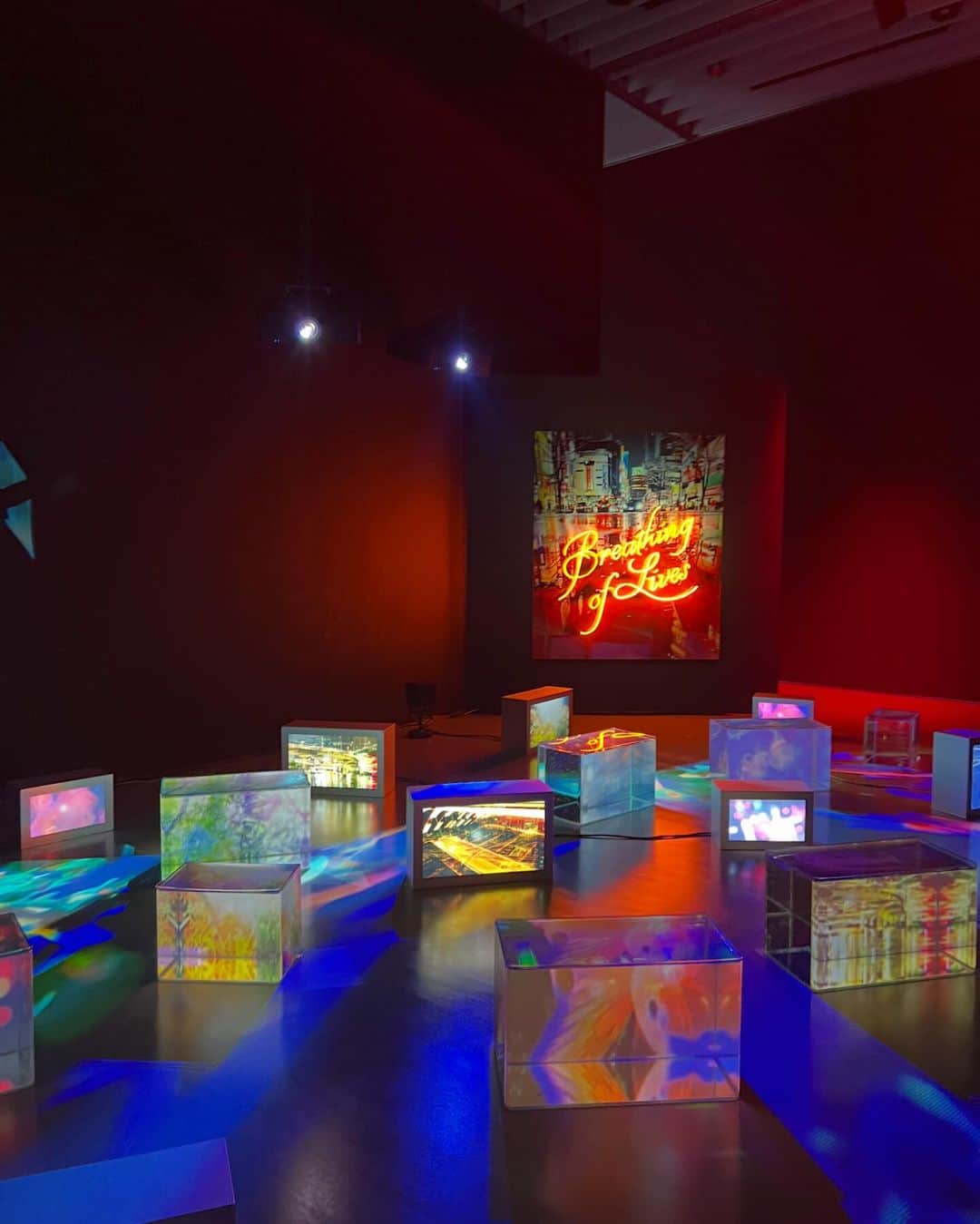 こまさんのインスタグラム写真 - (こまInstagram)「蜷川実花展「Eternity in a Moment 瞬きの中の一瞬」にお邪魔しました！  ちょこくん連れて行ってくれてありがとうございます🫶」12月6日 17時35分 - kouma___0129