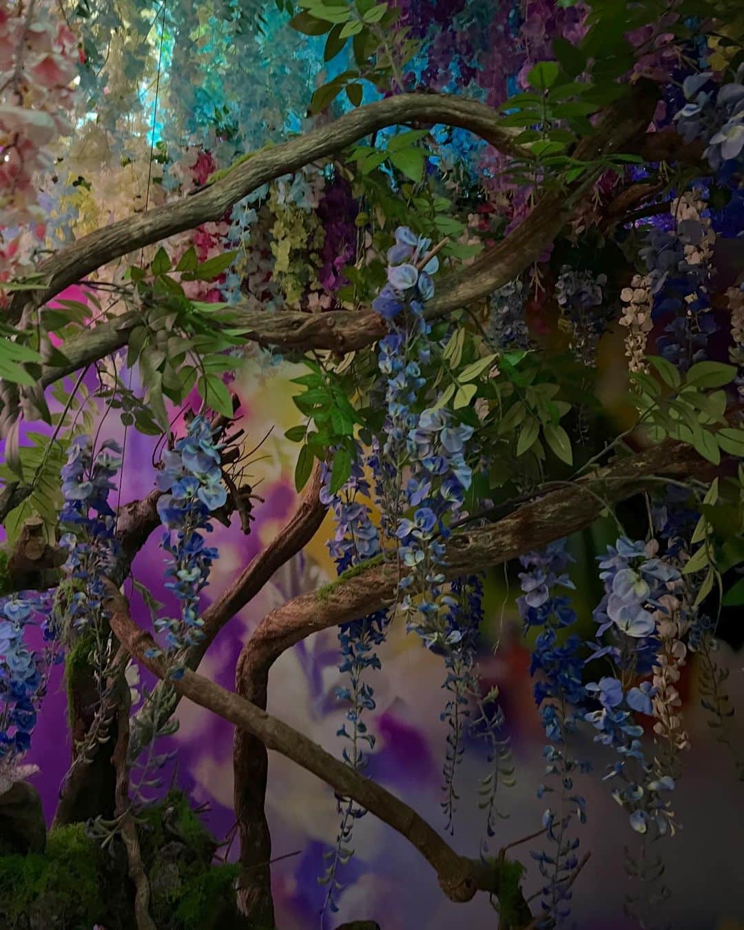 こまさんのインスタグラム写真 - (こまInstagram)「蜷川実花展「Eternity in a Moment 瞬きの中の一瞬」にお邪魔しました！  ちょこくん連れて行ってくれてありがとうございます🫶」12月6日 17時35分 - kouma___0129