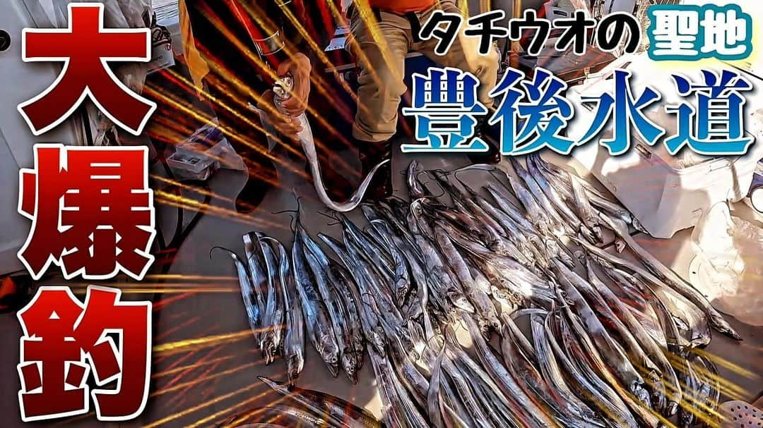 大沢樹生さんのインスタグラム写真 - (大沢樹生Instagram)「ん❓ ぬぬぬっ⁉️ 自分の知らぬ間に🎣 「すずらん組×釣り部会長」チャンネルでアップされとる⤴️笑 しかもタチウオ大漁〜💭 タチウオ釣りた〜い😭🎣🎣🎣」12月6日 17時32分 - osawa_mikio