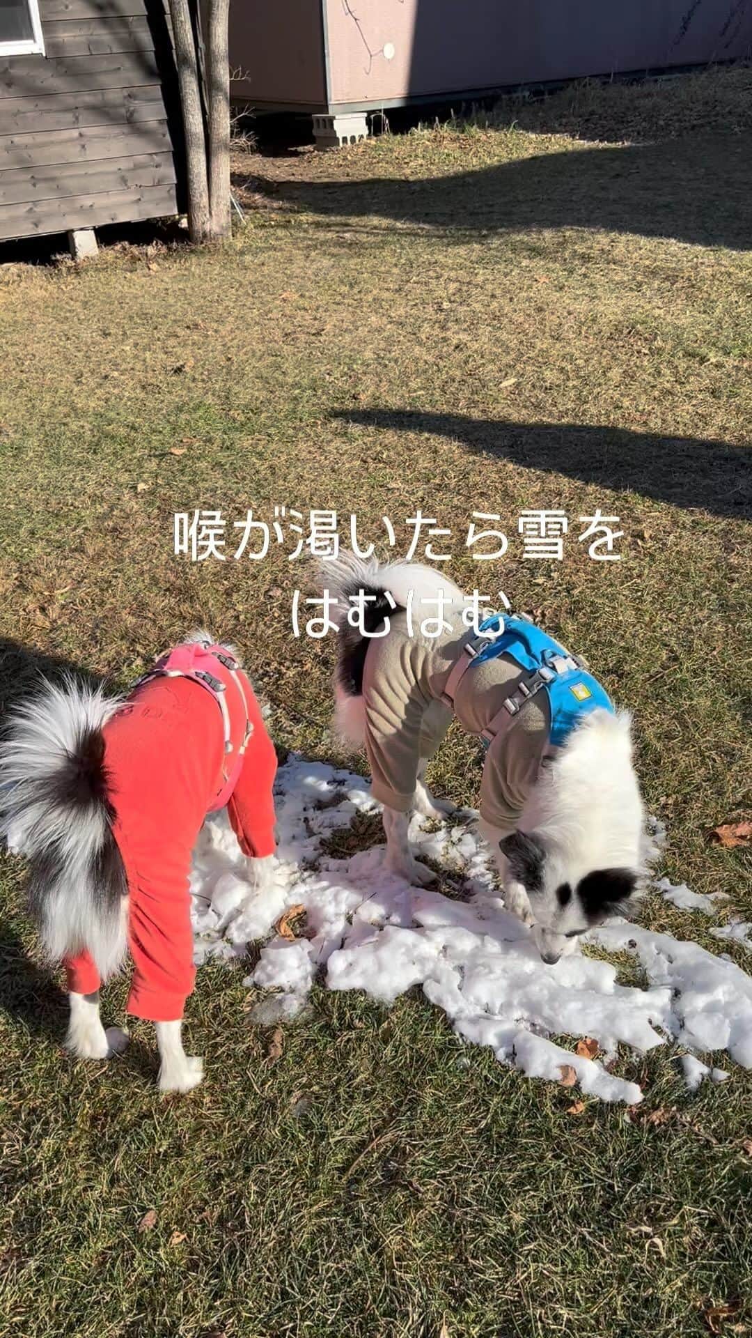 馬場典子のインスタグラム
