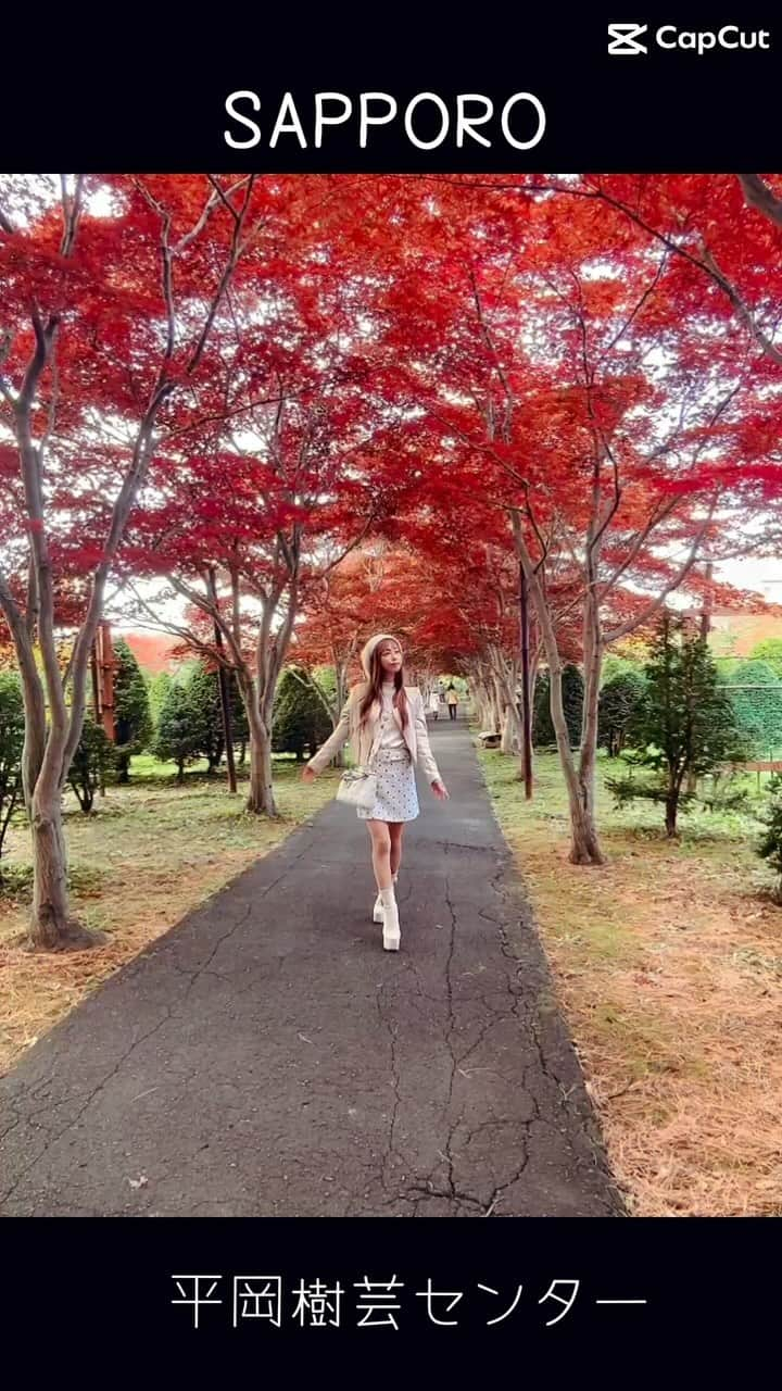 北山美奈のインスタグラム：「毎年行ってるけどいつも先陣切りすぎて少し赤足りない🍁笑 １０月の時差投稿🍁🍁  #バルセロナグループ #ラウンジ凛 #札幌 #すすきの #ススキノ #キャバクラ #キャバ嬢 #キャバクラ嬢 #ニュークラブ #ニュークラ #ニュークラ嬢 #キャバ #ラウンジ #ラウンジ嬢 #ホステス #すすきのキャバクラ #すすきのキャバ嬢 #すすきのグルメ#美脚#美乳#札幌旅行 #美人 #美女 #可愛い #可愛い女の子 #博多#六本木#平岡樹芸センター#紅葉#紅葉スポット」