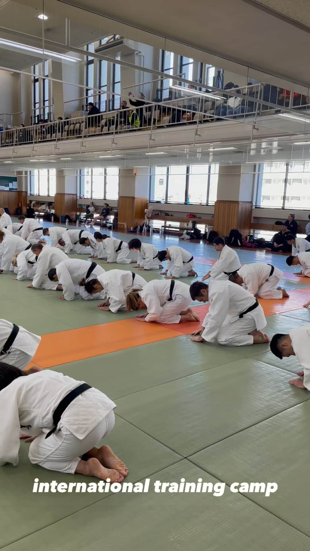 全日本柔道連盟(AJJF)のインスタグラム