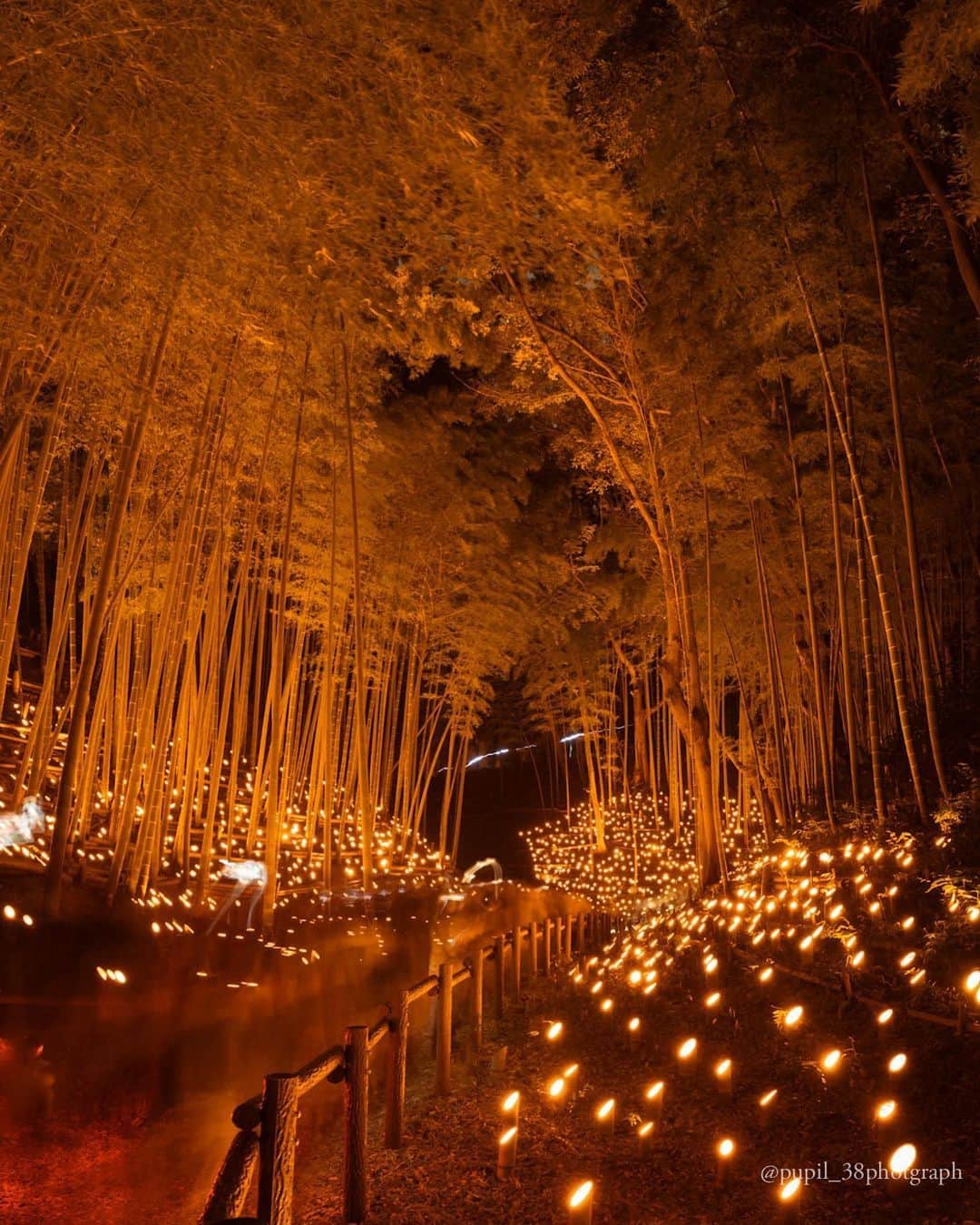 横浜市のインスタグラム：「Amazing sights at the 20th Annual Bamboo Lantern Festival at Kozukue Castle Ruins Citizen's Forest! 🕯️  Photo: @pupil_38photograph  #myyokohama   #yokohama #darlingescapes #beautifuldestinations #artofvisuals #somewheremagazine #discoverglobe #travelawesome #passionpassport #lovejapan #explorejapan #japanlife #japanfocus #japan_vacations #japanrevealed #よこはま #ヨコハマ #横浜」