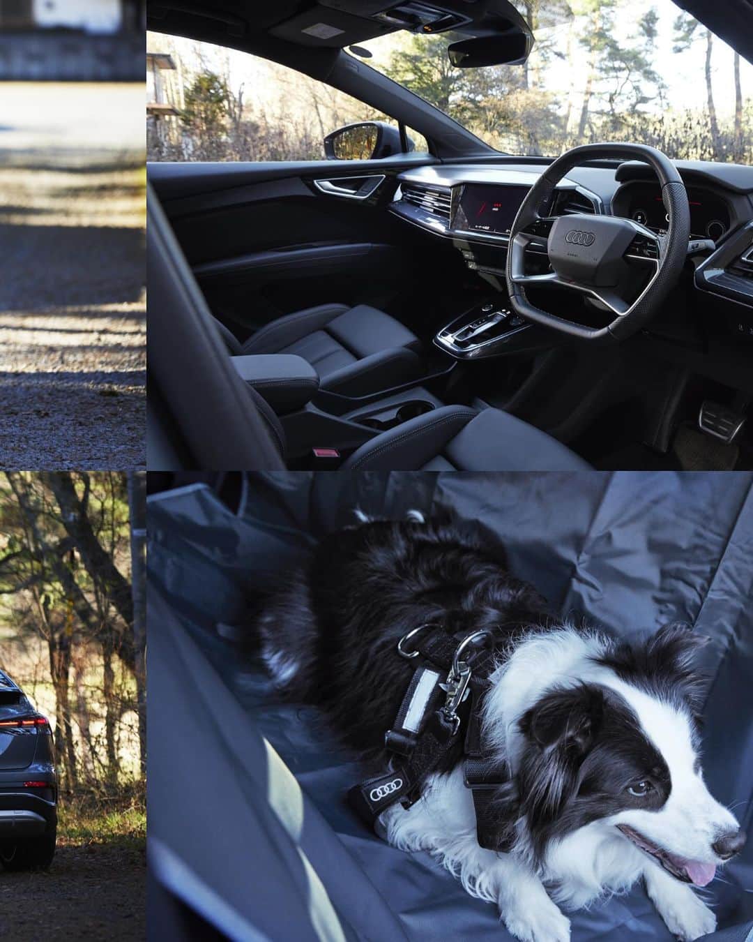 アウディ ジャパンさんのインスタグラム写真 - (アウディ ジャパンInstagram)「Audi Q4 Sportback e-tronで行く 愛犬との1泊2日のドライブ旅 ②   「JOHNSON TOWN」から約2時間ほどクルマを走らせ、 本日の宿「DOG DEPT GARDEN HOTEL 軽井沢」に到着。   Audi Q4 Sportback e-tronの広々とした後部座席は、愛犬「ルビー」にとっても快適だった様子。 長時間の移動の後にもかかわらず、施設内のドッグランで走り回りブランコで休憩。     Supported by @dogdept_karuizawa @dogdept_official ルビー：@ruby.0731   *特別に許可を得て撮影しています。   #Audi #AudiQ4 #AudiQ4Sportbacketron #アウディ#AudiJapan #アウディジャパン #アウディのある風景 #アウディのある生活 #電気自動車 #SUV #電動SUV #EV #ドッグデプト #ボーダーコリー #ペットのいる生活 #ペットと暮らす #ペットとずっと #わんだふるらいふ #いぬすたぐらむ #🐶 #犬のいる暮らし #愛犬との暮らし #ペットドライブ #愛犬とドライブ #愛犬ドライブ #犬とドライブ #犬ドライブ #ペット旅行  #愛犬と旅行 #愛犬旅行」12月6日 18時00分 - audijapan