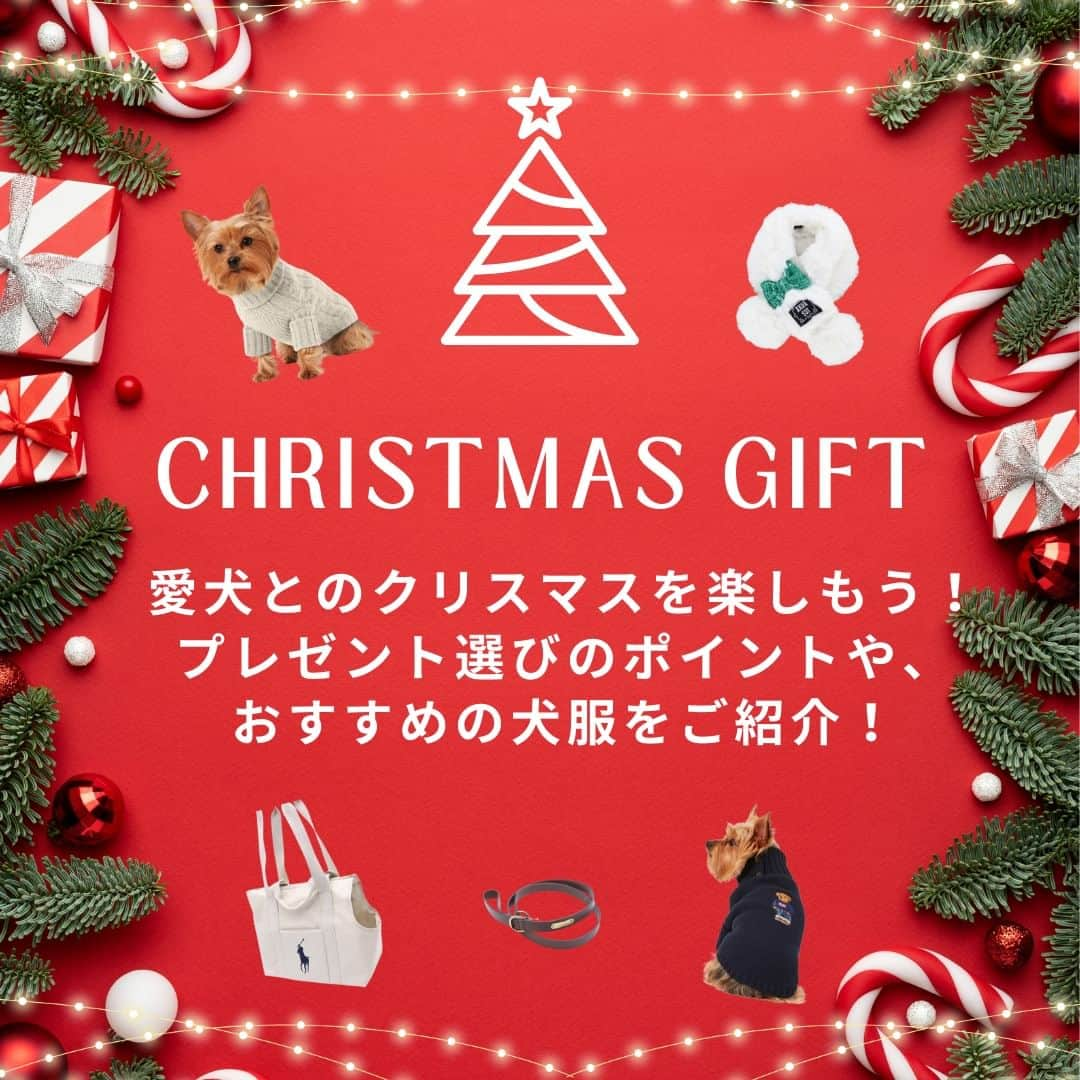 Caluluさんのインスタグラム写真 - (CaluluInstagram)「12月になり、クリスマスシーズンが近づいてきましたね💝🎄  愛するペットへのクリスマスギフトはもう決まりましたか？  Caluluサイトでは、愛犬とのクリスマスを楽しむためのプレゼント選びのポイントや、おすすめの犬服をコラムでご紹介しています🐾  予算別にCaluluスタッフおすすめの商品や、シックでオシャレなRALPH LAURENの新商品など、クリスマスギフトにぴったりなアイテムを揃えました🎁  寒い冬も、笑顔で楽しくポカポカあったまるオシャレな商品がたくさん🥰  また最初のページをクリックすると、サイト内のコラムページに飛びますよ♪  ぜひチェックしてくださいね🎅  ——————————  Caluluオンラインショップ ▼プロフィールのlitlinkよりアクセス🐾 @calulu_dogwear   ——————————  #calulu #caluludogwear #カルル #カルルドッグウェア #犬のお洋服 #オシャレ犬服　#おしゃれ犬服 #わんこふく #わんこ部 #いぬすたぐらむ #おしゃれわんこ #いぬのいる暮らし #お出かけわんこ #お出かけわんこ部 #いぬとの暮らし #カルルわんこの会 #カルルにゃんこの会  #猫のいる暮らし #ねこすたぐらむ  #ペット用品 #ペットグッズ #クリスマス #クリスマスプレゼント #クリスマスギフト #ギフト #xmas #Christmas」12月6日 18時00分 - calulu_dogwear