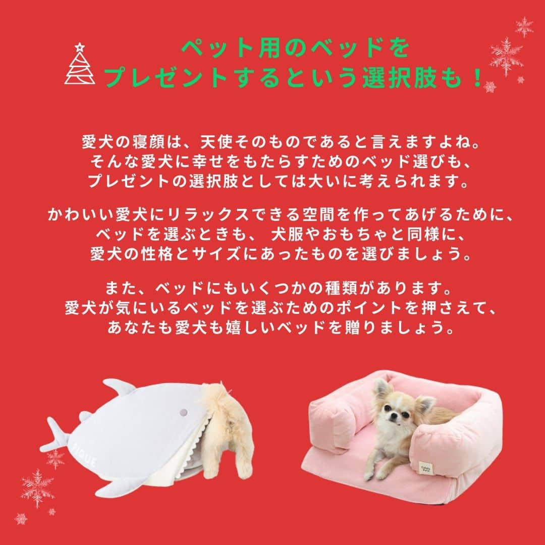 Caluluさんのインスタグラム写真 - (CaluluInstagram)「12月になり、クリスマスシーズンが近づいてきましたね💝🎄  愛するペットへのクリスマスギフトはもう決まりましたか？  Caluluサイトでは、愛犬とのクリスマスを楽しむためのプレゼント選びのポイントや、おすすめの犬服をコラムでご紹介しています🐾  予算別にCaluluスタッフおすすめの商品や、シックでオシャレなRALPH LAURENの新商品など、クリスマスギフトにぴったりなアイテムを揃えました🎁  寒い冬も、笑顔で楽しくポカポカあったまるオシャレな商品がたくさん🥰  また最初のページをクリックすると、サイト内のコラムページに飛びますよ♪  ぜひチェックしてくださいね🎅  ——————————  Caluluオンラインショップ ▼プロフィールのlitlinkよりアクセス🐾 @calulu_dogwear   ——————————  #calulu #caluludogwear #カルル #カルルドッグウェア #犬のお洋服 #オシャレ犬服　#おしゃれ犬服 #わんこふく #わんこ部 #いぬすたぐらむ #おしゃれわんこ #いぬのいる暮らし #お出かけわんこ #お出かけわんこ部 #いぬとの暮らし #カルルわんこの会 #カルルにゃんこの会  #猫のいる暮らし #ねこすたぐらむ  #ペット用品 #ペットグッズ #クリスマス #クリスマスプレゼント #クリスマスギフト #ギフト #xmas #Christmas」12月6日 18時00分 - calulu_dogwear