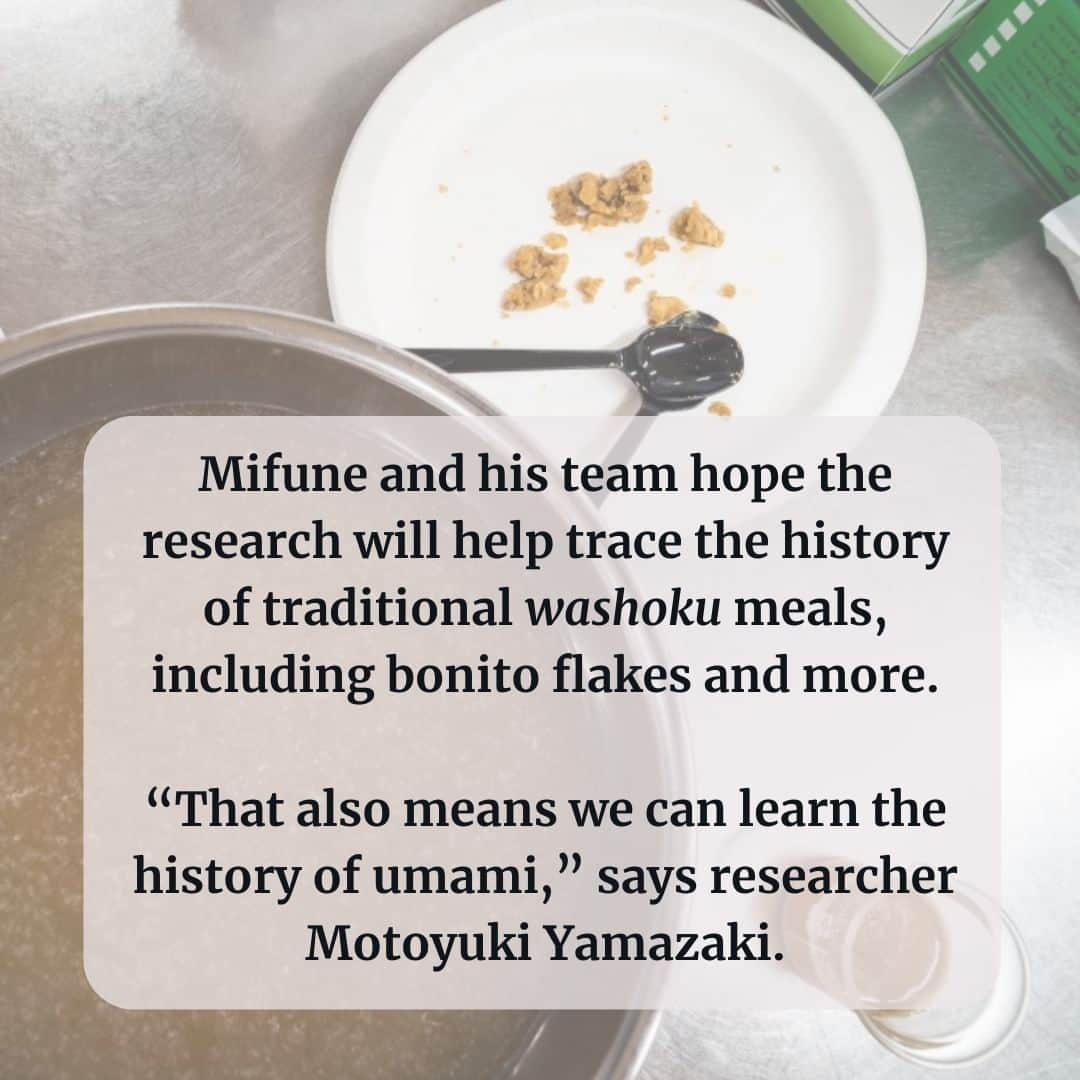 The Japan Timesさんのインスタグラム写真 - (The Japan TimesInstagram)「A study group was formed by Takayuki Mifune, a leading figure in the rather niche field of reproducing — in minute detail — ancient Japanese meals from 1,300 years ago based on surviving evidence.  A professor at Tokyo Healthcare University, Mifune and his fellow researchers gathered one day at his school’s laboratory to re-create "katsuo irori" — bonito broth boiled down into a preservable seasoning that was used during the Nara Period (710-94).  It’s a tedious process, involving countless trials as they try to remain as faithful as possible to descriptions in old books and records, as well as using tools that are as similar as possible to the earthenware and other utensils excavated from archaeological sites.  To understand Japanese food, Mifune says, is to understand the wisdom and history of the island nation’s inhabitants. Click on the link in our bio to read more about his quest to re-create what the Japanese ate 1,300 years ago.  📸: Johan Brooks  #japan #japanesefood #japanesecooking #japanesehistory #japantimes #日本 #日本料理 #料理 #歴史 #ジャパンタイムズ #🥘」12月6日 18時12分 - thejapantimes