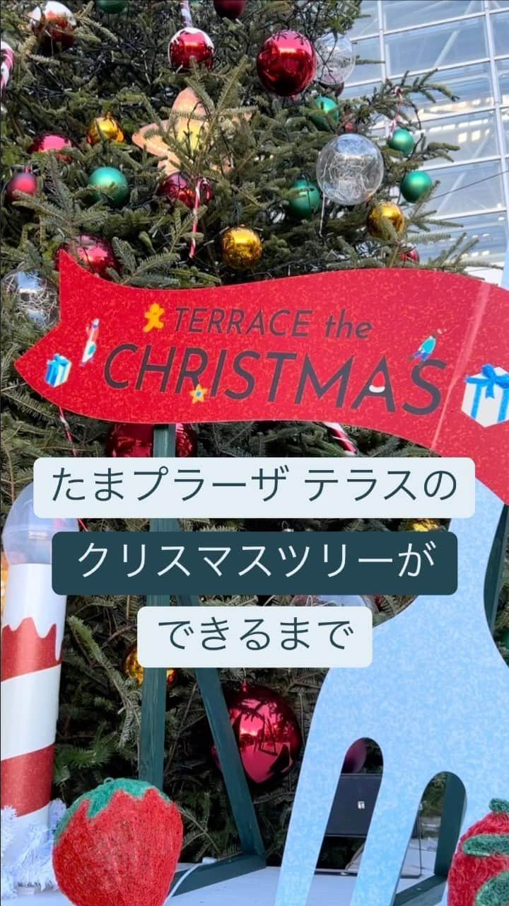 たまプラーザ テラスのインスタグラム：「クリスマスツリーが完成するまでの様子をご紹介👀  ❄️—…—…—…—…  たまプラーザ テラスの広場に大きなケーキに乗ったクリスマスツリーが登場🎄✨ たっぷりのクリームを塗って、いちごを乗せてデコレーション🍓 キャンドルを灯したら大きなクリスマスケーキの出来上がり🎂 シェアされたケーキの中にはお菓子やプレゼントを運ぶクリスマストレインが走ります。 さあ、トレインに乗って街を巡りましょう🚂 たまプラーザ テラスのクリスマスの始まりです！  —…—…—…—…❄️  #たまプラーザテラス #たまプラーザterrace #たまプラーザ #たまプラ #たまプラーザ駅 #東急 #田園都市線 #商業施設 #ショッピングセンター #駅前施設 #christmas #christmas2023 #クリスマス #クリスマス2023 #クリスマス装飾 #クリスマスイルミネーション #illumination #クリスマスツリー」