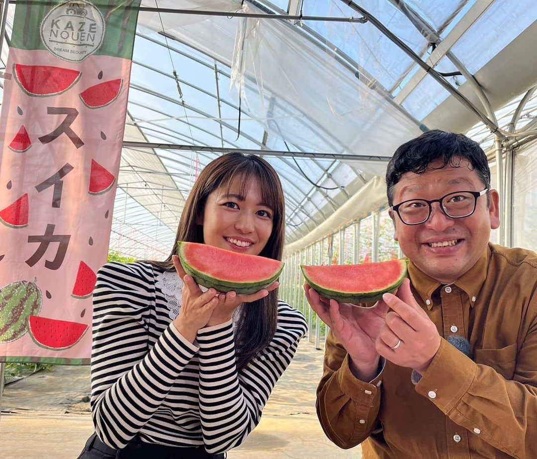 池山智瑛さんのインスタグラム写真 - (池山智瑛Instagram)「. 冬に食べれるスイカ😳‼️ 風農園さんのスイカ🍉 皮が薄くて最後の最後までとても甘くておいしかったです！  「新・ええじゃないか」のロケにて . #三重　#名張　#農園　#スイカ」12月6日 18時23分 - chu_chiaki