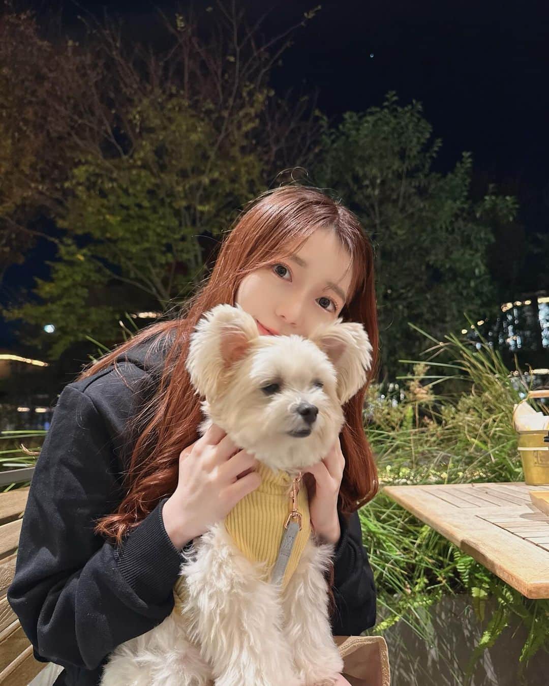 柏元萌華さんのインスタグラム写真 - (柏元萌華Instagram)「投稿できてなかったから急な冬感🥹  るーずそっくすぎゃるとわんこたち🐶🤎🤍🪄  ティちゃんの顔、、笑笑」12月6日 18時51分 - moepiii3_k