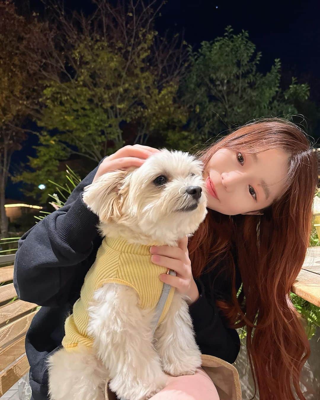 柏元萌華さんのインスタグラム写真 - (柏元萌華Instagram)「投稿できてなかったから急な冬感🥹  るーずそっくすぎゃるとわんこたち🐶🤎🤍🪄  ティちゃんの顔、、笑笑」12月6日 18時51分 - moepiii3_k