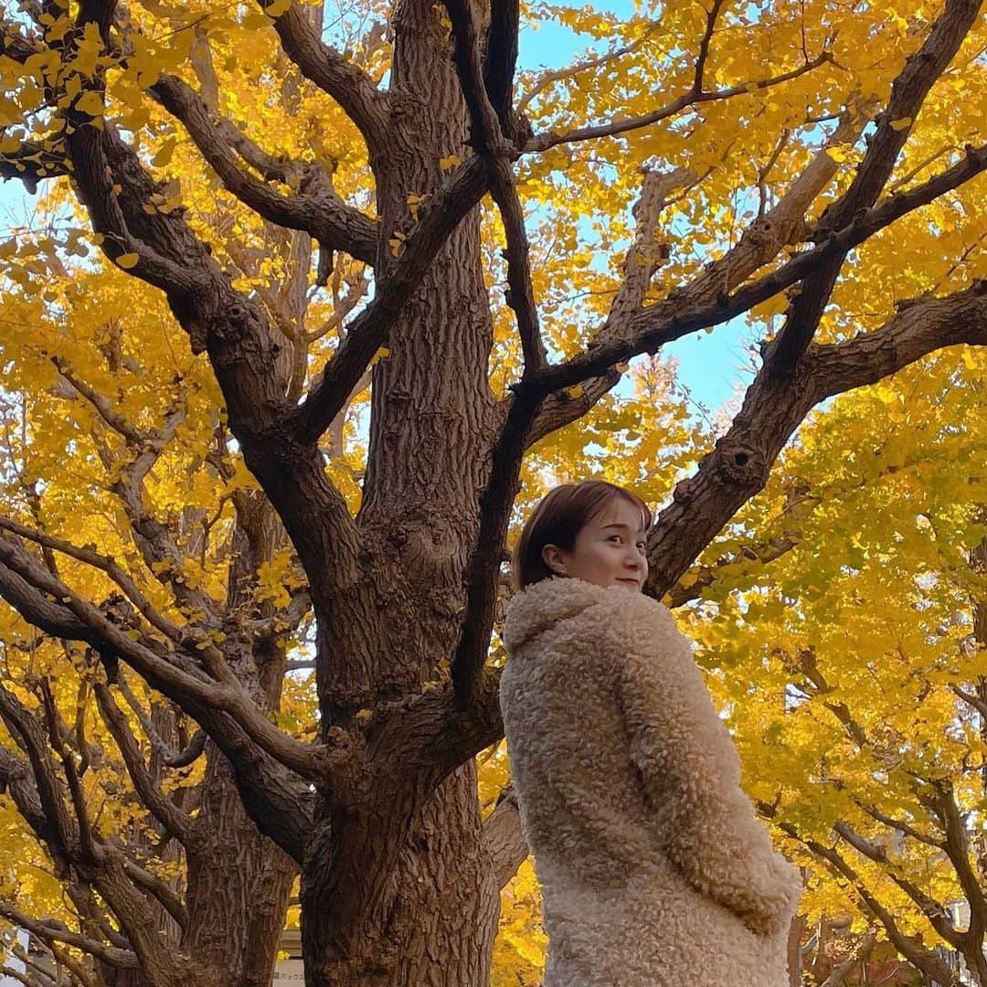 岡田ロビン翔子さんのインスタグラム写真 - (岡田ロビン翔子Instagram)「🐻🍂💛」12月6日 19時10分 - i_am_robin0315