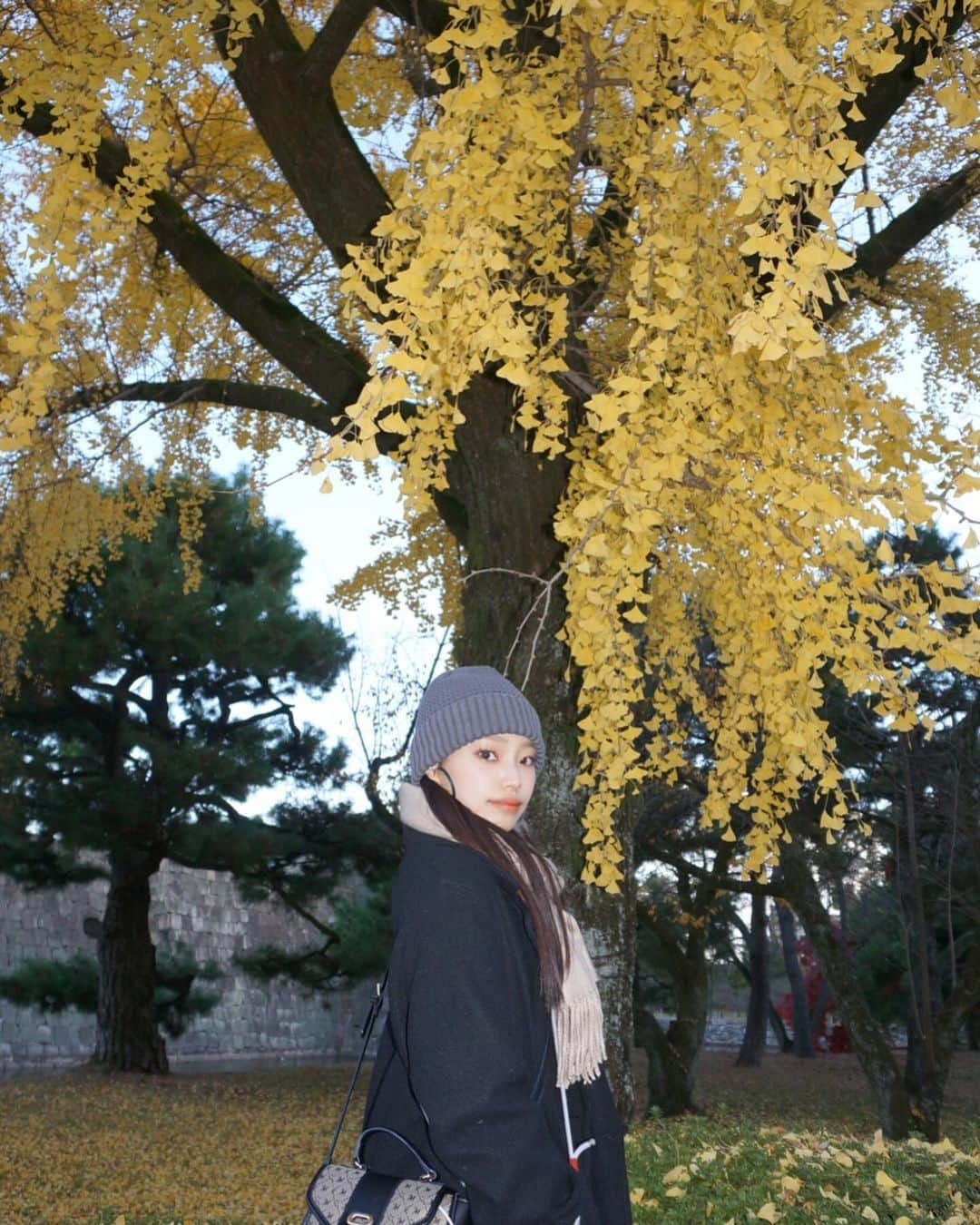 川西莉子さんのインスタグラム写真 - (川西莉子Instagram)「⠀ 今年は紅葉見れた🍁♡ ⠀ #kyoto #京都」12月6日 19時30分 - ricopa_lu