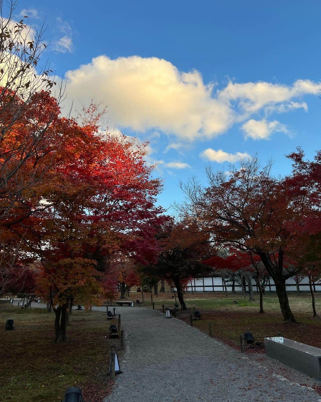 川西莉子さんのインスタグラム写真 - (川西莉子Instagram)「⠀ 今年は紅葉見れた🍁♡ ⠀ #kyoto #京都」12月6日 19時30分 - ricopa_lu