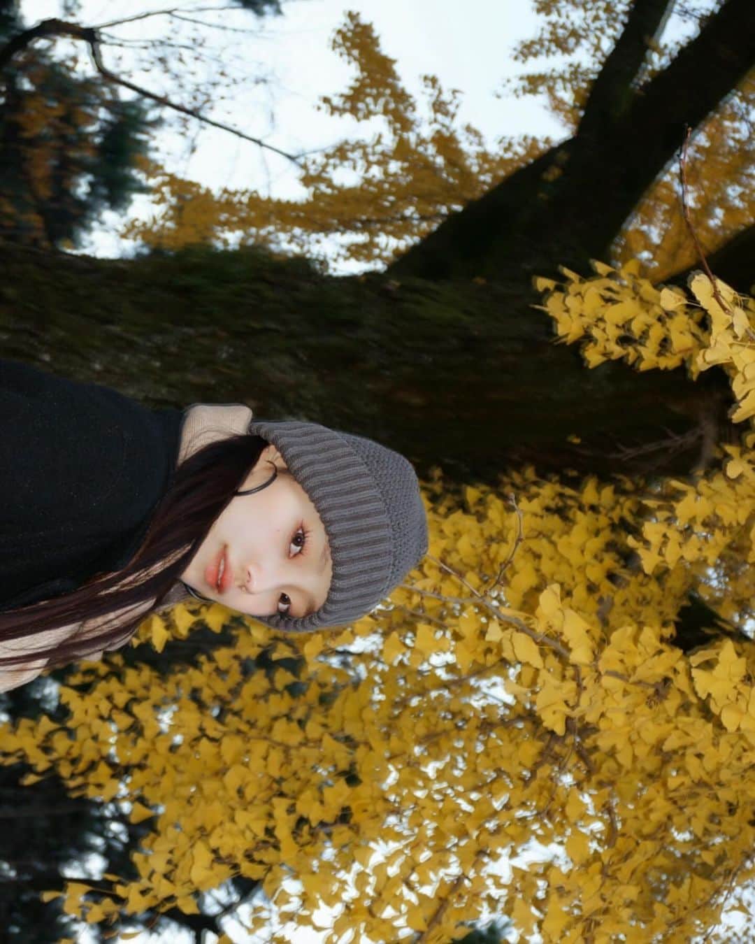 川西莉子のインスタグラム：「⠀ 今年は紅葉見れた🍁♡ ⠀ #kyoto #京都」