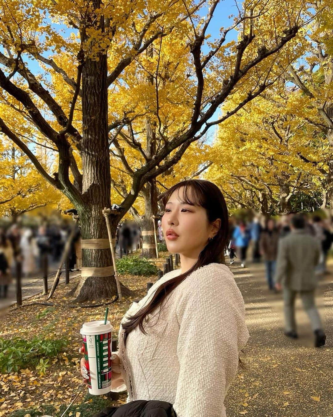 神宮 若奈さんのインスタグラム写真 - (神宮 若奈Instagram)「💛🐱🍂🍠 　　 初めての外苑前銀杏並木✨ 　　 あみちゃんに撮ってもらった😌 📷: @ami_o_b  　　 　　 最近は暖かくて可愛くてスタイル盛れる ツイードジャケットとツイードスカートを ヘビロテしまくっていますww   写真ほとんどこの服😂   #銀杏並木 #外苑前 #外苑前いちょう並木  #gunabonnie #ツイードジャケット #ツイードスカート」12月6日 19時52分 - jinguwakana