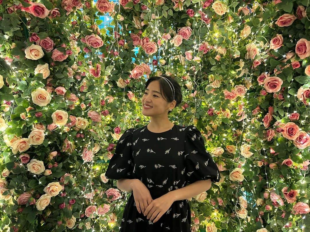 仲川遥香さんのインスタグラム写真 - (仲川遥香Instagram)「💐🌹🌼🌷  #indonesia #jakarta #jepang #ジャカルタ生活 #仲川遥香」12月6日 19時57分 - haruuuu_chan