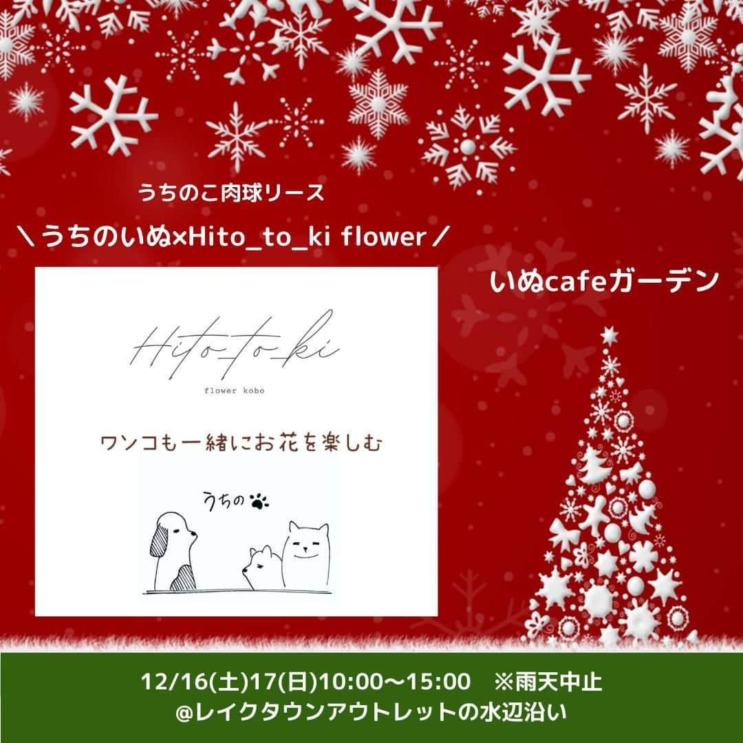 甲斐麻美のインスタグラム：「. 12/16(土)17(日) 愛犬と過ごすSpecial Christmas！ \\いぬcafeガーデン// 　@レイクタウンアウトレットの水辺沿い  【 ワークショップエリア 】 12/16(土)17(日)両日  ＼うちのいぬ×Hito_to_ki flower／ (@hito_to_ki.flower ) ▶うちのこ肉球リース  ----------  わんこと暮らすフラワーデザイナーが、うちのこたちと一緒に、自宅でお花を楽しめないか？ わんちゃんを連れて、一緒にワークショップできないか？そんな思いから、今年の肉球クリスマスリースのワークショップが決定しました。  お花とリボンの組み合わせは自由自在！ リースの真ん中には、おうちのわんちゃんの足跡スタンプを入れた、世界に一つだけのリースが作れます。 最後はプロのフラワーデザイナーが可愛く仕上げます。 アーティフィシャルフラワーを使うので、 愛犬たちが食べちゃう心配もなし。  人気のクリスマスカラーはもちろん、 ドライフラワー風のくすみカラー 白グリーンのシンプルスタイル ハワイが好きな方へ南国系など、 愛犬のアートとともに、 ずっと飾って置けるようにお部屋に似合う たくさんのパターンを準備しています。  ぜひ遊びにいらしてください！  ---------- ※事前予約等は各出店者様のDMへ 直接お問い合わせ下さい  ================ 　いぬ cafe ガーデン ================ 日時：R5.12/16(土)17(日) 10:00～15:00 ※雨天中止 場所：レイクタウンアウトレット JR武蔵野線　越谷レイクタウン駅　徒歩7分 ※入場無料 ※カフェエリア予約優先（ワンドリンク制）  ■カフェのご予約はこちら💓 >> https//reserva.be/inutowatashi プロフィール欄から飛べます🕊  #いぬcafeガーデン #いぬとわたし #レイクタウンアウトレット #犬イベント #いぬのいる暮らし #ドッグカフェ #犬とクリスマス #クリスマスイベント #犬との暮らし #犬ファースト #犬好きさんと繋がりたい #犬がいないと生きていけません #犬好き　#いぬカフェ #犬のイベント #犬イベント #肉球リース #犬とフラワーデザイナー」