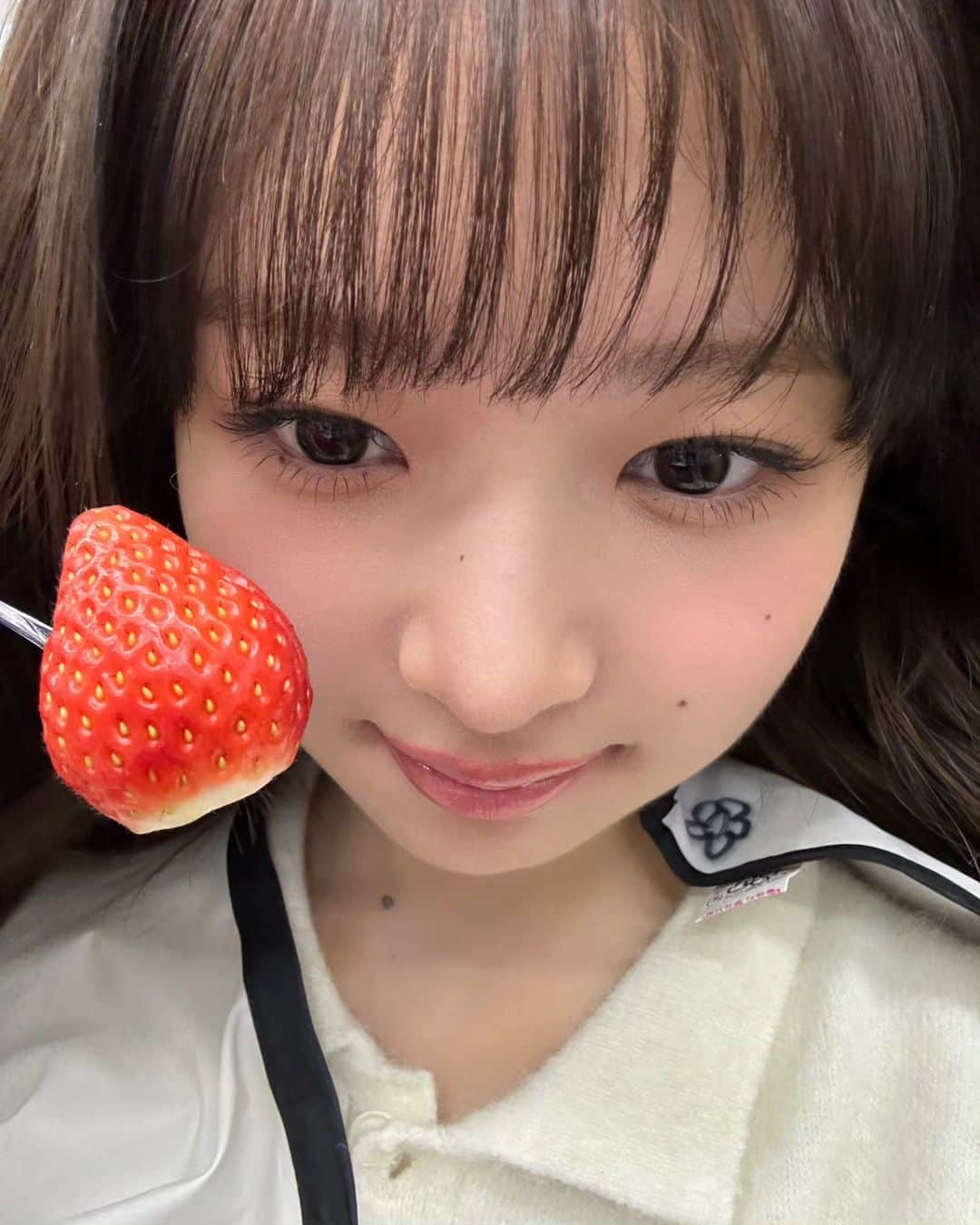 レイさんのインスタグラム写真 - (レイInstagram)「딸기 1000개 먹을 수 있는데...( ɞ̴̶̷ ༥ ʚ̴̶̷̷ )♡🍓」12月6日 20時21分 - reinyourheart