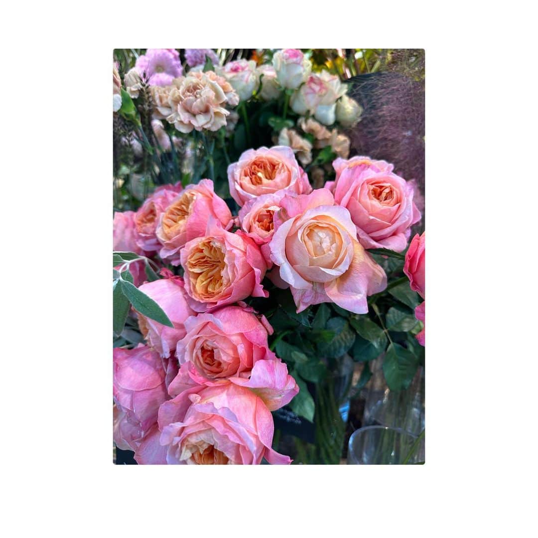 柏原明日架さんのインスタグラム写真 - (柏原明日架Instagram)「…@  お花のある生活、しあわせな時間🌼  #おはなのあるくらし   皆さんの幸せだなぁって思う瞬間、時間はどんな時ですか？」12月6日 20時21分 - asuka_____official