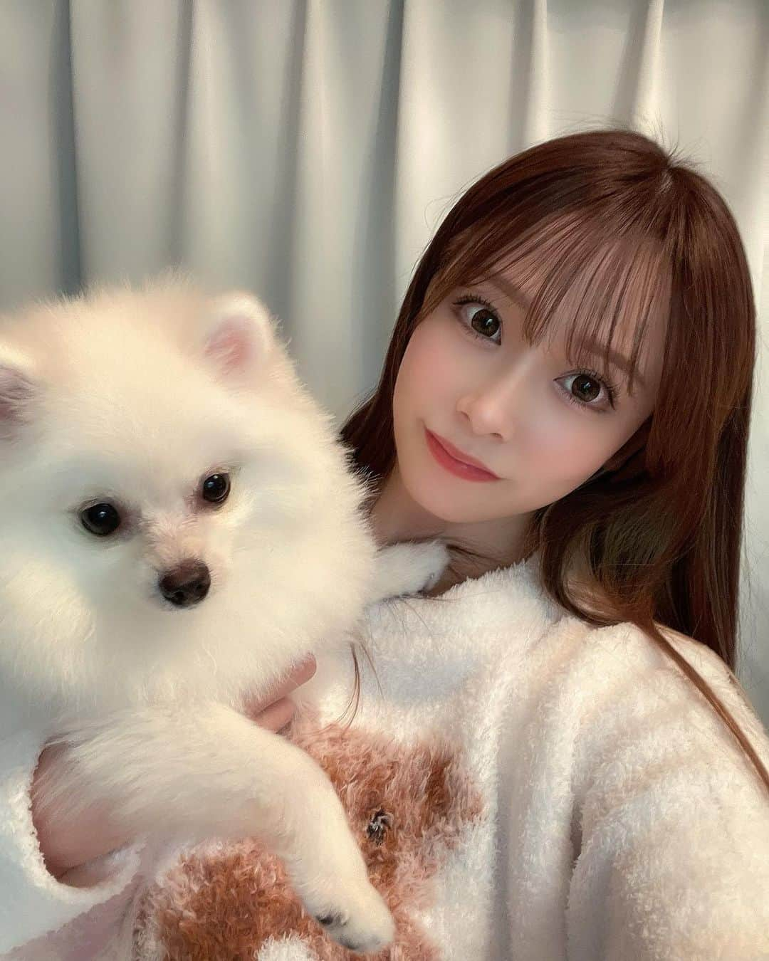 MIIのインスタグラム：「くうさんと🐻‍❄️毎日らぶらぶしてます(ᐡ т ̫ т ᐡ)♡♡ ． #愛犬家 #犬のいる生活  #白ポメ #ポメラニアン #可愛い #🐻‍❄️ #❤️」