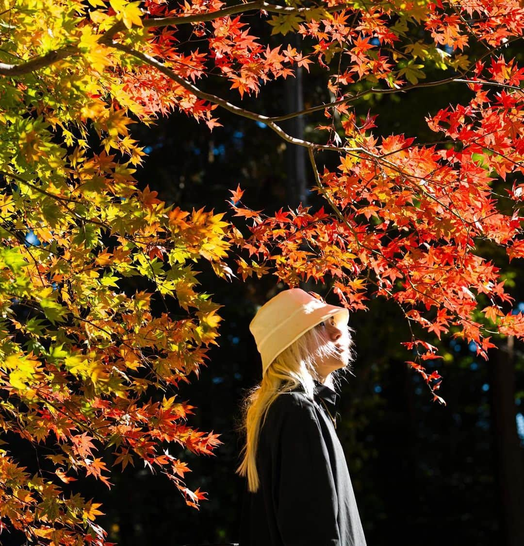 FashionDreamer Dのインスタグラム：「⠀ ⠀ 【English】The fall leaves were beautiful. Snow will be piling up soon.⛄️    【台湾话】秋天的樹葉很美麗。 雪很快就會堆積起來。     【हिंदी】पतझड़ के पत्ते सुन्दर थे। जल्द ही बर्फ जमा हो जाएगी.     【Türkçe】Sonbahar yaprakları çok güzeldi. Yakında kar yağacak.     【español】Las hojas otoñales eran preciosas. Pronto empezará a nevar.     ‎【اللغة العربية】أوراق الخريف كانت جميلة. سوف تتراكم الثلوج قريبا.     【Português】As folhas de outono eram lindas. A neve vai começar a acumular-se em breve.     【Français】Les feuilles d'automne étaient magnifiques. La neige va bientôt s'accumuler.     【Italiano】Le foglie autunnali erano bellissime. La neve si accumulerà presto.     【한국어】 단풍이 아름다웠습니다. 곧 눈이 쌓일 것입니다.     【日本語】  紅葉や落葉鑑賞を楽しみ、    僕は寒いのが苦手なので    秋に浸ってました...    気持ちよかったな〜     Photo : @kurubushi88    Location : Nasu ( Tochigi prefecture ) 🇯🇵        #Japan  #Japon  #japantrip   #Japão #GIAPPONE #JEPANG  #Japonya」