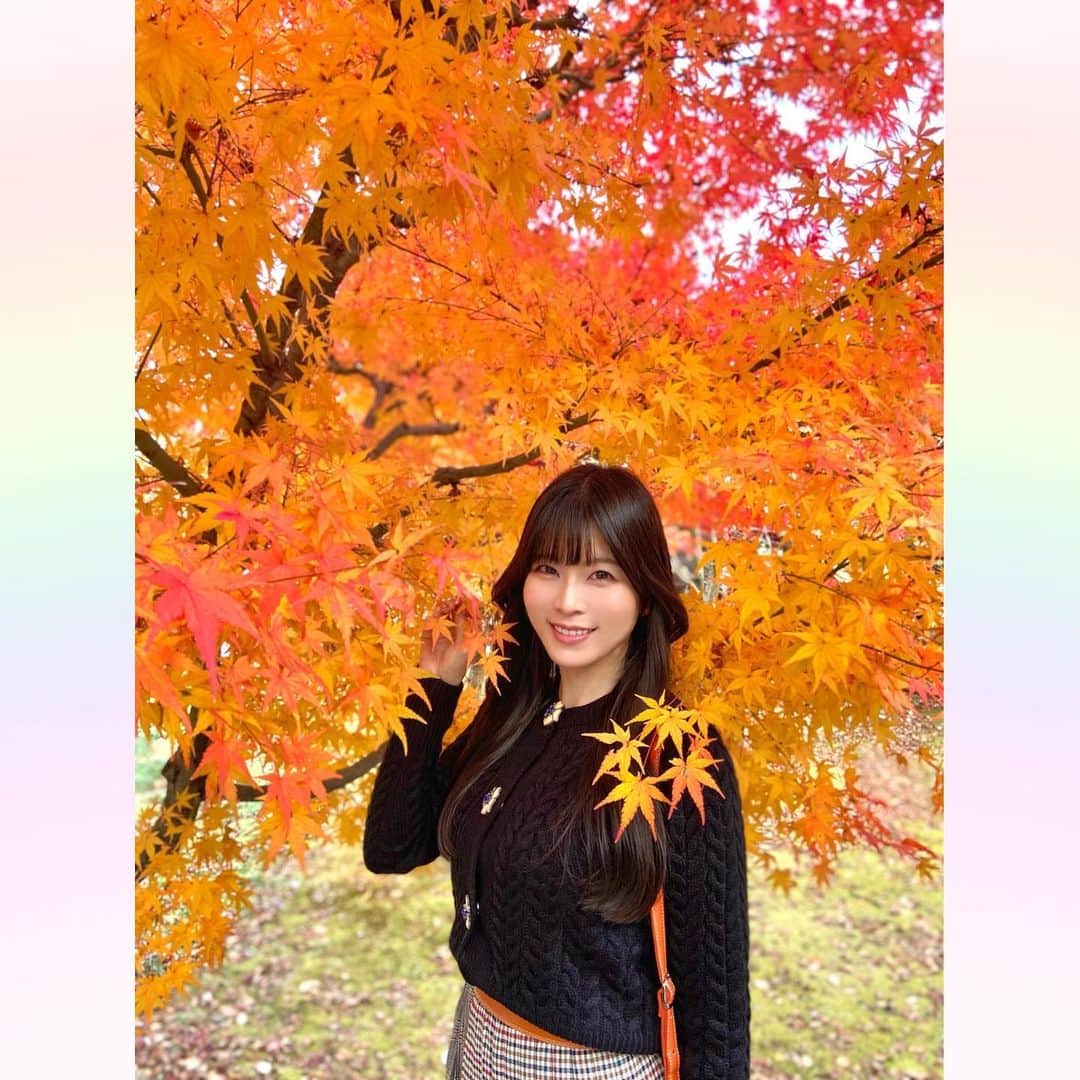 長柄ひろみさんのインスタグラム写真 - (長柄ひろみInstagram)「#Autumnleaves 🍁  秋といえばやっぱり紅葉！ 紅葉狩りに行ってきましたー🤗🍁  途中お茶室で休憩もしながら、色々観て回ったよ🥰🍁  今年は暖かかったからやっぱり紅葉も遅くて、全体的にというよりは部分部分紅葉してるって所が多かった気がします🤔  もうすぐ紅葉しそうって所も沢山あったので、もう一回リベンジしに行きたいな！  皆さんは何色の紅葉が好きですか😊？ 今回の投稿で好きな紅葉はありましたか🍁？  ｡・ﾟ・。𖧷｡・ﾟ・。𖦞｡・ﾟ・。𖧷｡・ﾟ・｡𖦞。・ﾟ・。  #紅葉」12月6日 21時15分 - aoi_asahi