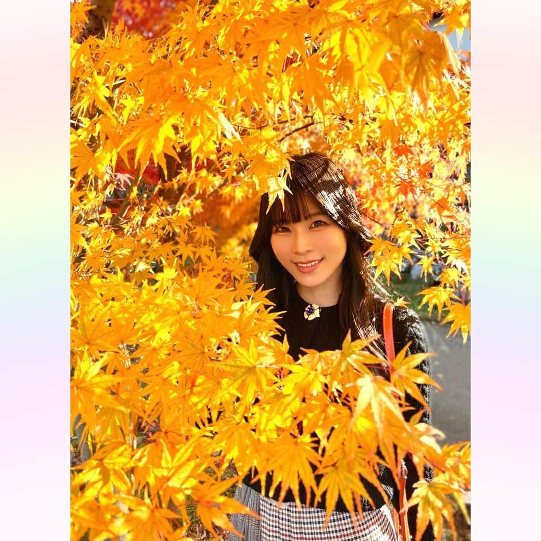 長柄ひろみさんのインスタグラム写真 - (長柄ひろみInstagram)「#Autumnleaves 🍁  秋といえばやっぱり紅葉！ 紅葉狩りに行ってきましたー🤗🍁  途中お茶室で休憩もしながら、色々観て回ったよ🥰🍁  今年は暖かかったからやっぱり紅葉も遅くて、全体的にというよりは部分部分紅葉してるって所が多かった気がします🤔  もうすぐ紅葉しそうって所も沢山あったので、もう一回リベンジしに行きたいな！  皆さんは何色の紅葉が好きですか😊？ 今回の投稿で好きな紅葉はありましたか🍁？  ｡・ﾟ・。𖧷｡・ﾟ・。𖦞｡・ﾟ・。𖧷｡・ﾟ・｡𖦞。・ﾟ・。  #紅葉」12月6日 21時15分 - aoi_asahi