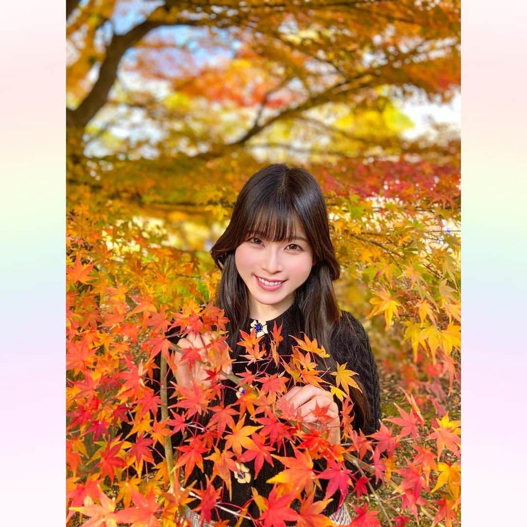長柄ひろみさんのインスタグラム写真 - (長柄ひろみInstagram)「#Autumnleaves 🍁  秋といえばやっぱり紅葉！ 紅葉狩りに行ってきましたー🤗🍁  途中お茶室で休憩もしながら、色々観て回ったよ🥰🍁  今年は暖かかったからやっぱり紅葉も遅くて、全体的にというよりは部分部分紅葉してるって所が多かった気がします🤔  もうすぐ紅葉しそうって所も沢山あったので、もう一回リベンジしに行きたいな！  皆さんは何色の紅葉が好きですか😊？ 今回の投稿で好きな紅葉はありましたか🍁？  ｡・ﾟ・。𖧷｡・ﾟ・。𖦞｡・ﾟ・。𖧷｡・ﾟ・｡𖦞。・ﾟ・。  #紅葉」12月6日 21時15分 - aoi_asahi