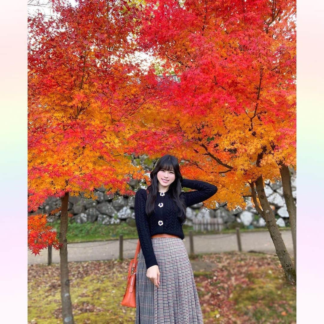 長柄ひろみさんのインスタグラム写真 - (長柄ひろみInstagram)「#Autumnleaves 🍁  秋といえばやっぱり紅葉！ 紅葉狩りに行ってきましたー🤗🍁  途中お茶室で休憩もしながら、色々観て回ったよ🥰🍁  今年は暖かかったからやっぱり紅葉も遅くて、全体的にというよりは部分部分紅葉してるって所が多かった気がします🤔  もうすぐ紅葉しそうって所も沢山あったので、もう一回リベンジしに行きたいな！  皆さんは何色の紅葉が好きですか😊？ 今回の投稿で好きな紅葉はありましたか🍁？  ｡・ﾟ・。𖧷｡・ﾟ・。𖦞｡・ﾟ・。𖧷｡・ﾟ・｡𖦞。・ﾟ・。  #紅葉」12月6日 21時15分 - aoi_asahi