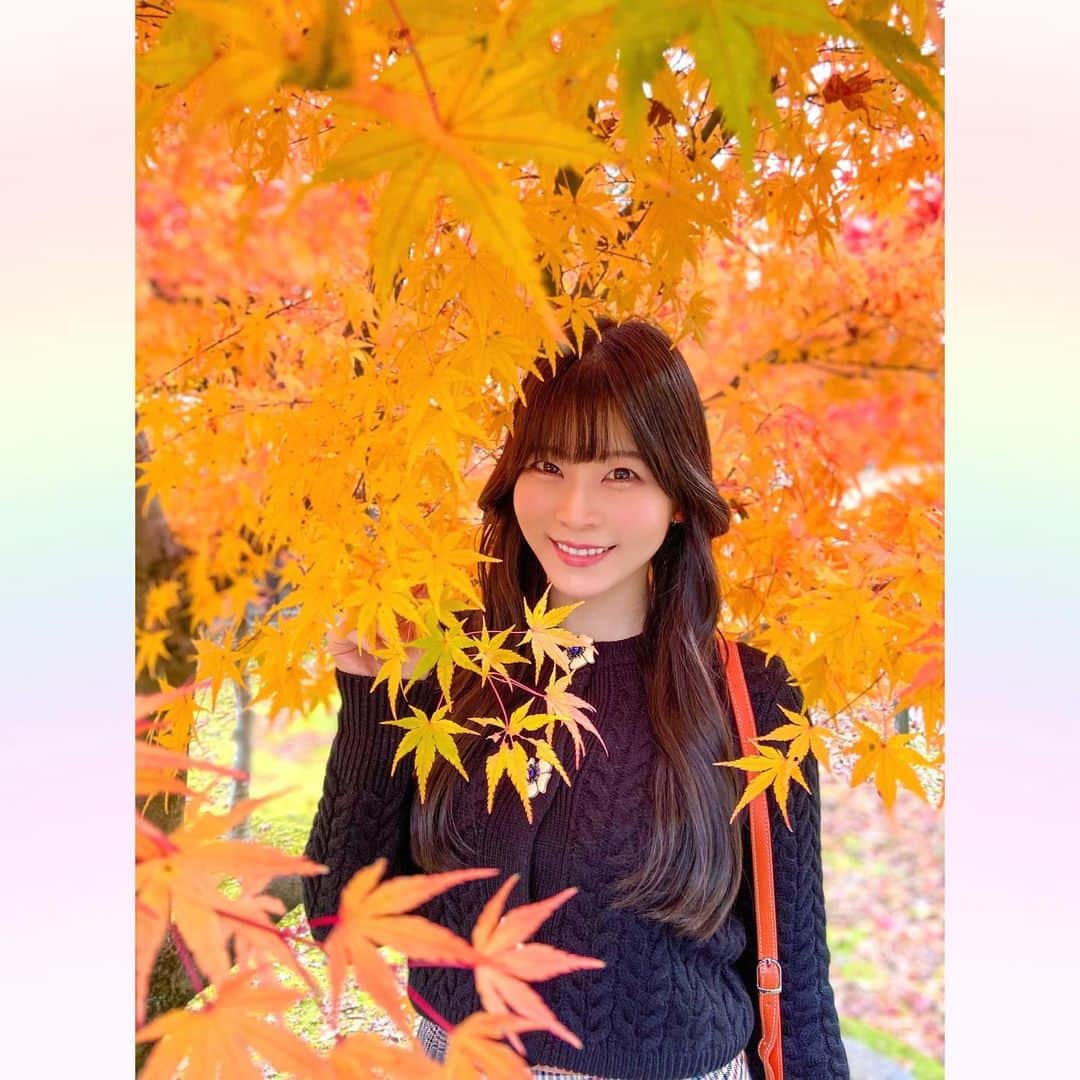 長柄ひろみさんのインスタグラム写真 - (長柄ひろみInstagram)「#Autumnleaves 🍁  秋といえばやっぱり紅葉！ 紅葉狩りに行ってきましたー🤗🍁  途中お茶室で休憩もしながら、色々観て回ったよ🥰🍁  今年は暖かかったからやっぱり紅葉も遅くて、全体的にというよりは部分部分紅葉してるって所が多かった気がします🤔  もうすぐ紅葉しそうって所も沢山あったので、もう一回リベンジしに行きたいな！  皆さんは何色の紅葉が好きですか😊？ 今回の投稿で好きな紅葉はありましたか🍁？  ｡・ﾟ・。𖧷｡・ﾟ・。𖦞｡・ﾟ・。𖧷｡・ﾟ・｡𖦞。・ﾟ・。  #紅葉」12月6日 21時15分 - aoi_asahi