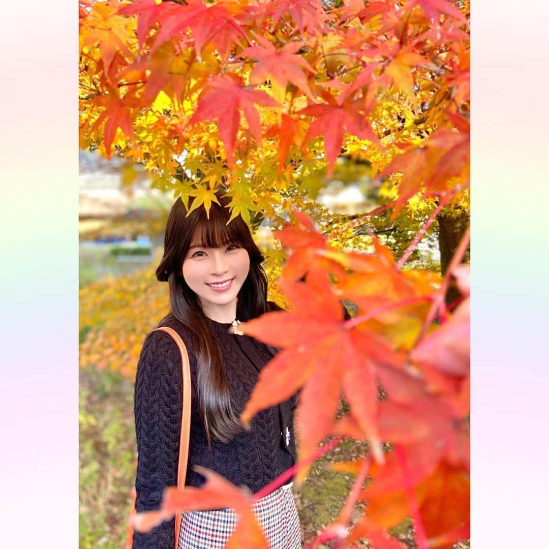 長柄ひろみさんのインスタグラム写真 - (長柄ひろみInstagram)「#Autumnleaves 🍁  秋といえばやっぱり紅葉！ 紅葉狩りに行ってきましたー🤗🍁  途中お茶室で休憩もしながら、色々観て回ったよ🥰🍁  今年は暖かかったからやっぱり紅葉も遅くて、全体的にというよりは部分部分紅葉してるって所が多かった気がします🤔  もうすぐ紅葉しそうって所も沢山あったので、もう一回リベンジしに行きたいな！  皆さんは何色の紅葉が好きですか😊？ 今回の投稿で好きな紅葉はありましたか🍁？  ｡・ﾟ・。𖧷｡・ﾟ・。𖦞｡・ﾟ・。𖧷｡・ﾟ・｡𖦞。・ﾟ・。  #紅葉」12月6日 21時15分 - aoi_asahi