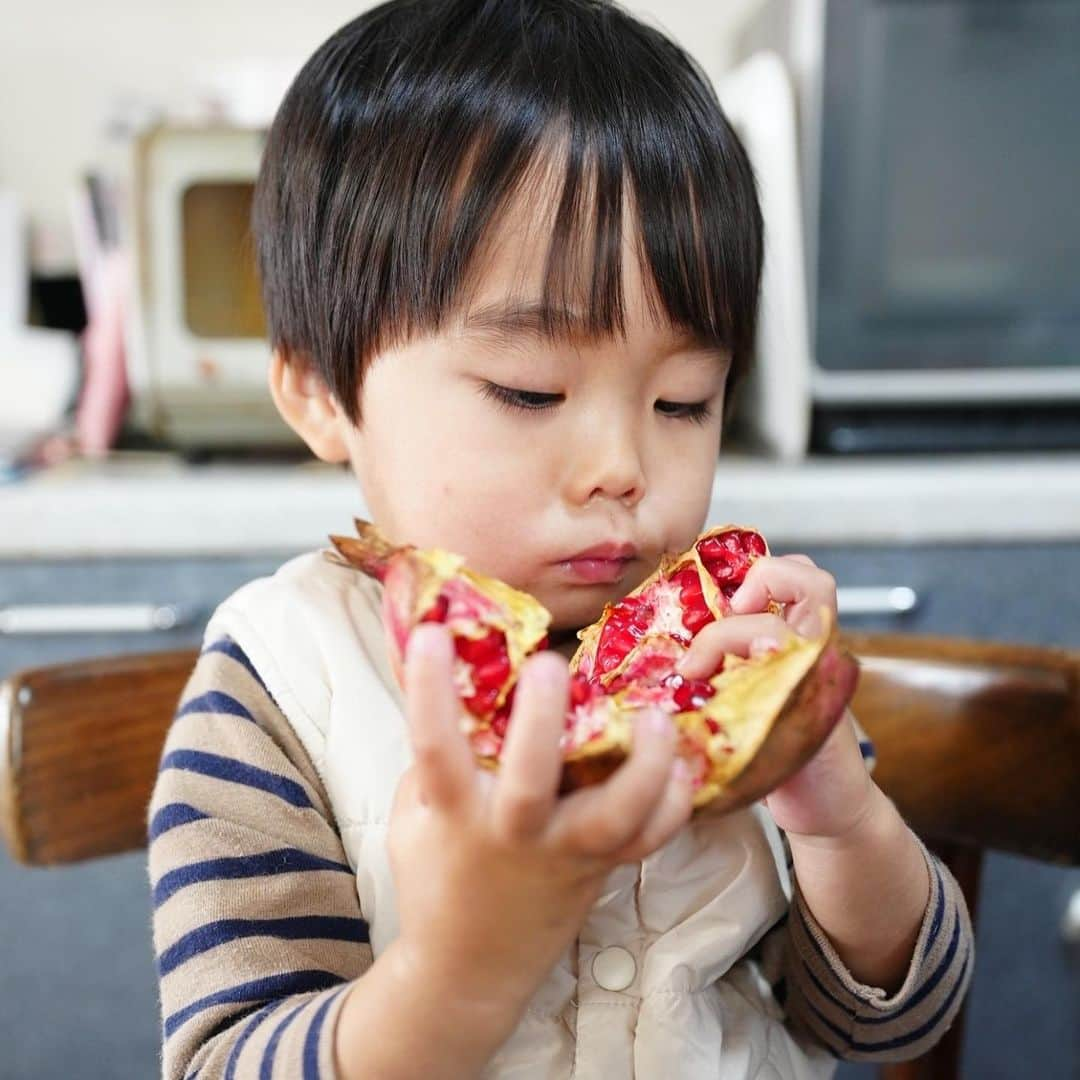 きりのさんのインスタグラム写真 - (きりのInstagram)「ザクロを食べるそうすけ  食べる事が1番好きな宗介さんです😁 最近好きな食べ物は手羽先の唐揚げ、大根の煮物、ブロッコリー、バナナです🍌✨ これを出しておけばとりあえずおっけい！笑  #2歳男の子」12月6日 21時27分 - kirino0808