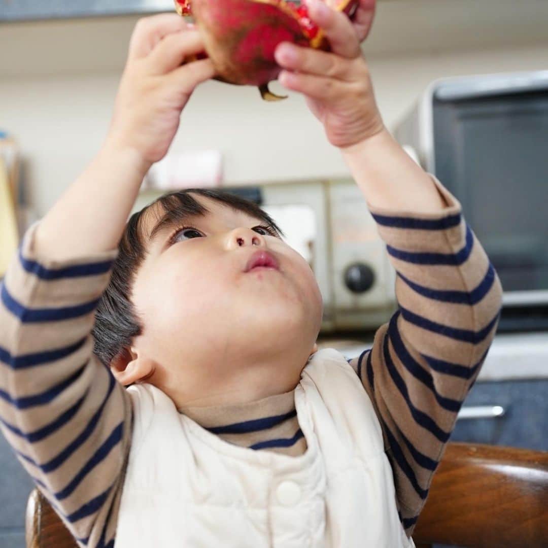 きりのさんのインスタグラム写真 - (きりのInstagram)「ザクロを食べるそうすけ  食べる事が1番好きな宗介さんです😁 最近好きな食べ物は手羽先の唐揚げ、大根の煮物、ブロッコリー、バナナです🍌✨ これを出しておけばとりあえずおっけい！笑  #2歳男の子」12月6日 21時27分 - kirino0808
