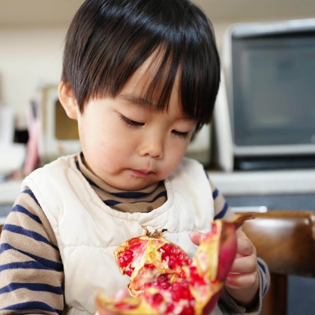 きりのさんのインスタグラム写真 - (きりのInstagram)「ザクロを食べるそうすけ  食べる事が1番好きな宗介さんです😁 最近好きな食べ物は手羽先の唐揚げ、大根の煮物、ブロッコリー、バナナです🍌✨ これを出しておけばとりあえずおっけい！笑  #2歳男の子」12月6日 21時27分 - kirino0808