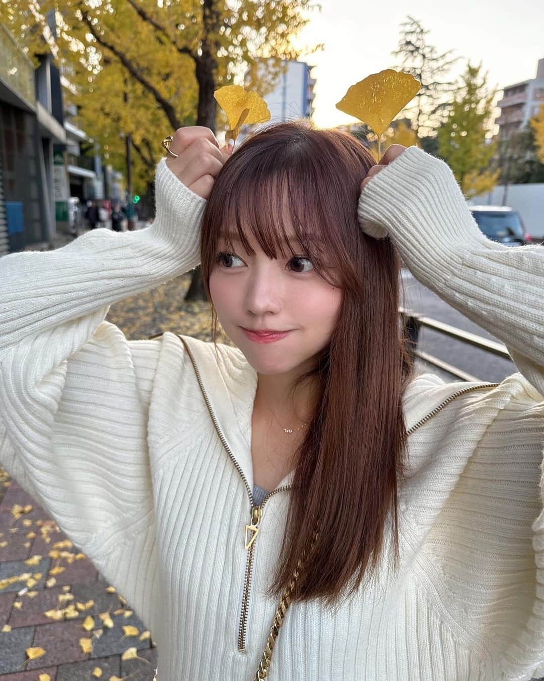 高木悠未のインスタグラム：「みごろ！！！今年行きたい紅葉観に行けてないちゃんね〜」