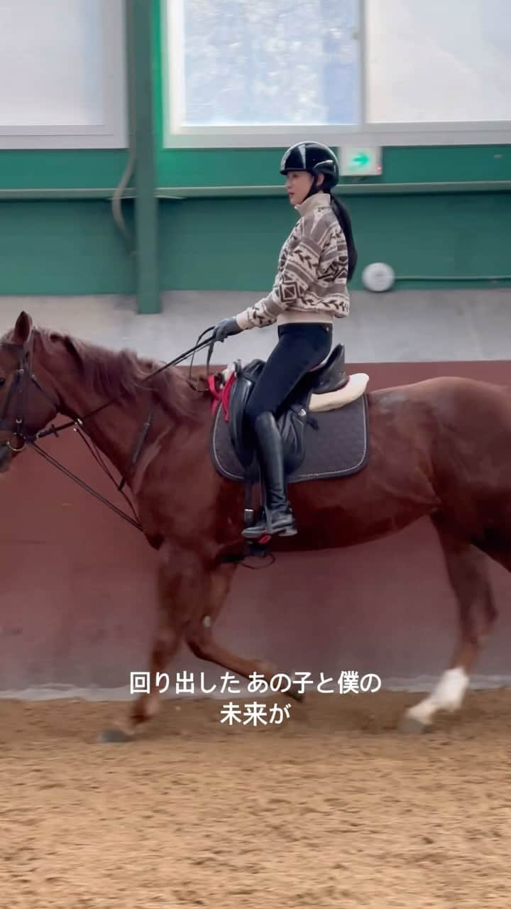 ヒョンア のインスタグラム：「🐴 전경자세 어렵다 😌😶‍🌫️🫥 , 낙마전 잊고 있었던 마음이 있었어요.  말들도 늘 내 감각에 집중해주고 있다는걸, 내가 밸런스를 찾아가길 기다리고 다시 시도해주고 ,  같이 해 나가고 있다는것을,  늘 고마운 마음 듬뿍담아 오늘도 등을 내어주어서 고마워🤎 전경 정말 너무어려워여 어떻게 합니까 🤷🏻‍♀️ . . #승마#승마스타그램 #승마장 #승마장추천」