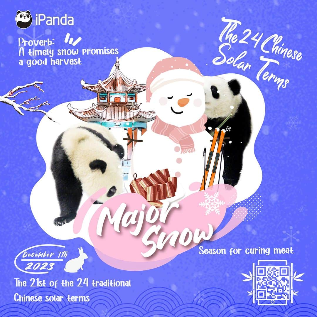iPandaのインスタグラム：「Major Snow is the 21st of the 24 solar terms and the third one of the winter season. During this solar term, a proverb goes: A timely snow promises a good harvest. So, let’s gear up and wait for the snow to come like the pandas. 🐼 🐼 🐼 #Panda #iPanda #Cute #PandaPic #ChengduPandaBase #ChineseCulture #24SolarTerms   For more panda information, please check out: https://en.ipanda.com」
