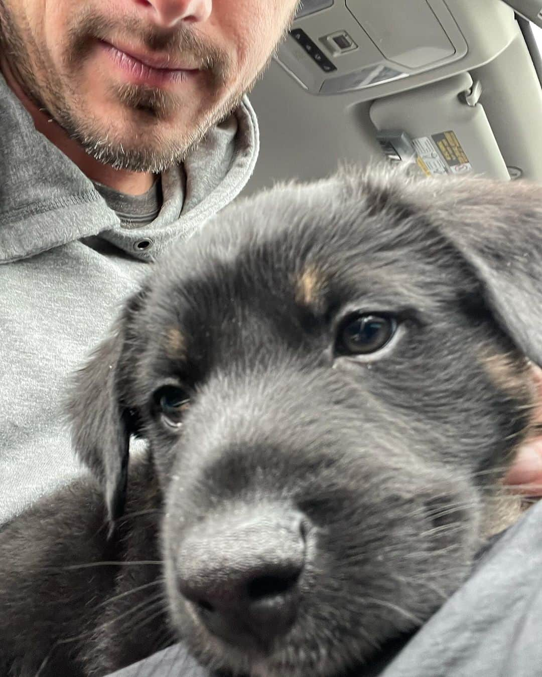 ベン・ヒギンズさんのインスタグラム写真 - (ベン・ヒギンズInstagram)「Today is year 2 for Waylon Jennings Higgins. In year two Waylon hopes to learn how to talk, sit at the kitchen table, steal treats from his treat jar, make friends with the local elk and mountain lions, catch one of the field mice in our yard, and keep making his family smile. He’s one of a kind…wild and sweet. Waylon loves life like all of us should! (If you don’t know Waylon’s story check out @elysemichelle_mua Instagram about Gracie and her pups) @jessclarke_ and I love him dearly. If you are a dog lover wish Waylon a happy bday because he reads the comments. Also asking for Waylon; what are your thoughts on this new drug to help dogs live longer? We are hoping it works!」12月7日 7時29分 - higgins.ben