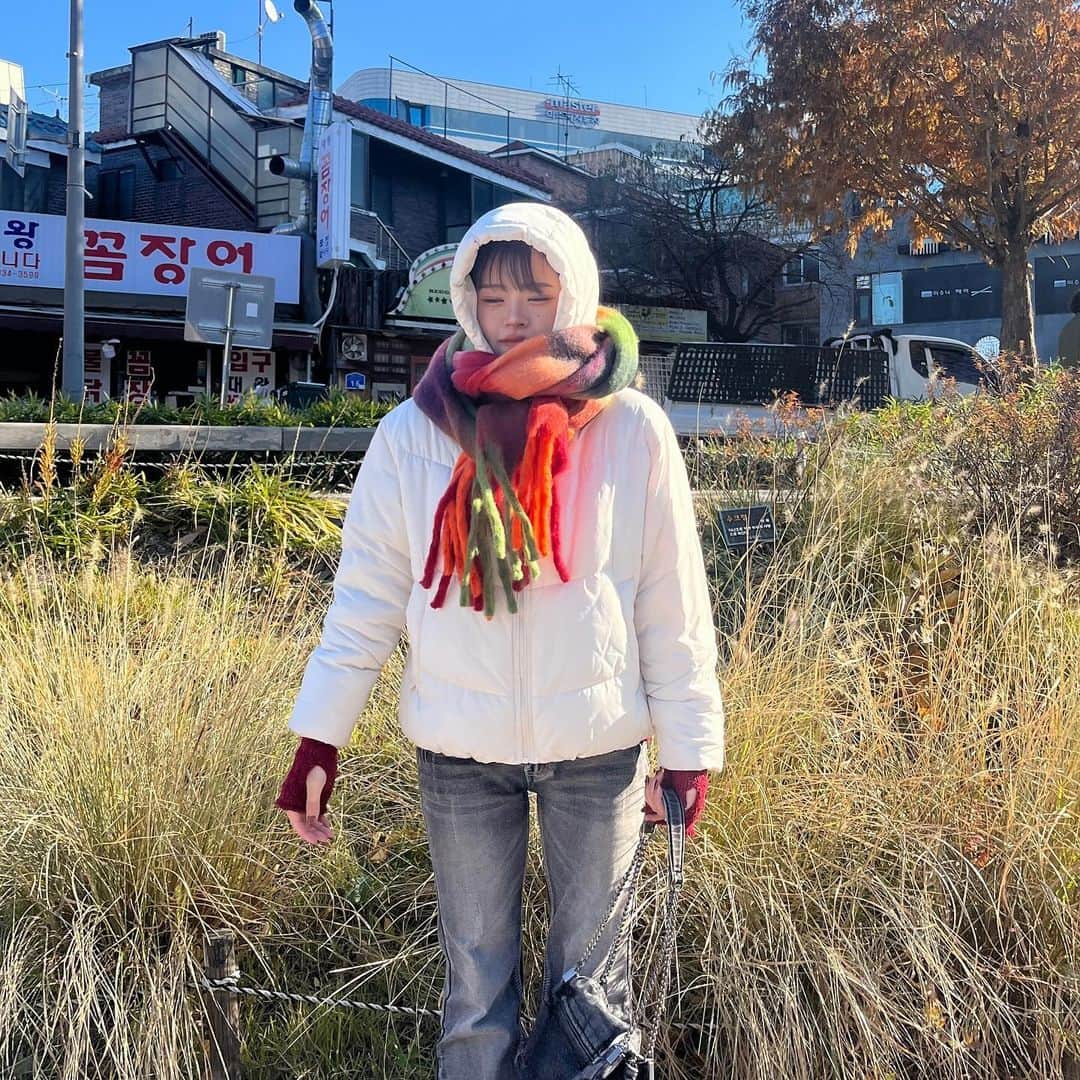 になにさんのインスタグラム写真 - (になにInstagram)「. 韓国の想い出 1枚目スズメ2匹おるけん探してみて」12月7日 1時39分 - avo___cado
