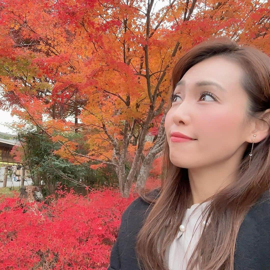 澤野井香里さんのインスタグラム写真 - (澤野井香里Instagram)「🍁🍁🍁  @lycka_nishinomiya でマツエクリペアもしてきたょ👀✨  パッチリになって嬉しい🤭  📍【Lycka】 西宮→0798-41-7572 神戸・大阪 →080-4240-6157   ありがとうございます💐  #ks_23✨ #ks_beauty✨ #睫毛エクステ #マツエク #マツエクデザイン #美容 #美容好き」12月7日 1時57分 - kaori_sawanoi