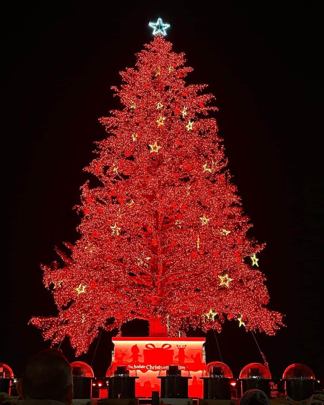 REINAさんのインスタグラム写真 - (REINAInstagram)「. 数年ぶりにクリスマス時期の 函館に行ったけどベイエリアの クリスマスツリーはいつ見ても 迫力あって綺麗🎄✨️  #すすきの#ラウンジ#すすきのラウンジ#すすきの新店#overloungeclub#オーバーラウンジクラブ#ホステス#キャバ嬢#キャバクラ#北海道#函館#クラブプレミア函館#函館プレミア#ニュークラ#函館ニュークラ#函館キャバクラ#ニュークラブ#キャバクラ#ラウンジ#クラブ#overloungeclub#すすきの#ホステス#キャバ嬢#すすきのラウンジ#出張#🎄#クリスマス#christmas#christmastree#クリスマスツリー#followme」12月7日 2時08分 - reina.overloungeclub