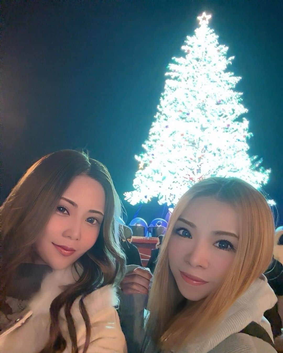 REINAのインスタグラム：「. 数年ぶりにクリスマス時期の 函館に行ったけどベイエリアの クリスマスツリーはいつ見ても 迫力あって綺麗🎄✨️  #すすきの#ラウンジ#すすきのラウンジ#すすきの新店#overloungeclub#オーバーラウンジクラブ#ホステス#キャバ嬢#キャバクラ#北海道#函館#クラブプレミア函館#函館プレミア#ニュークラ#函館ニュークラ#函館キャバクラ#ニュークラブ#キャバクラ#ラウンジ#クラブ#overloungeclub#すすきの#ホステス#キャバ嬢#すすきのラウンジ#出張#🎄#クリスマス#christmas#christmastree#クリスマスツリー#followme」