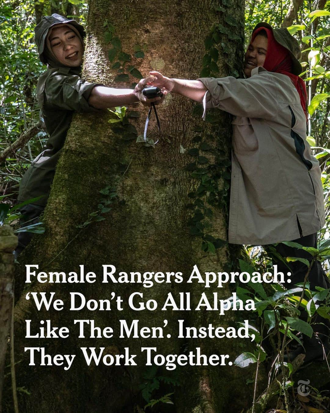 ニューヨーク・タイムズのインスタグラム：「Dressed in headscarves, green uniforms and rubber boots, 10 women on a team of rangers are tasked with protecting their village forest in Aceh Province in Indonesia from the squatters who want to clear the trees for timber or to farm the fertile soil. The team, which also includes five men, ventures deep into the tropical rainforest it guards, observing trees and moss while looking for signs of banned human activity.  In Indonesia, where a patriarchal culture is deeply entrenched and Islam is the dominant religion, women’s roles are habitually diminished, and they are often overlooked in many fields of work. Being a ranger is considered a man’s job, making it taboo for women in Aceh, which is the only Indonesian province to have enacted Shariah law. After months of discussion, the village leaders were eventually convinced to let women become rangers.   Rather than taking a confrontational approach with trespassers who are trying to farm or log in the area, the women try dialogue first. Tap the link in our bio to read how they do it. Photos by @uletifan」