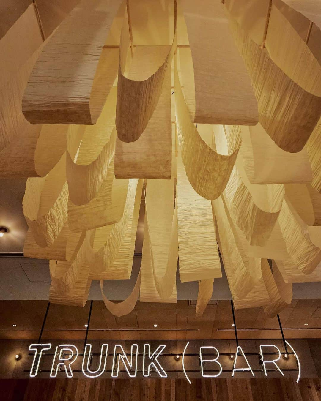 TRUNK(HOTEL)さんのインスタグラム写真 - (TRUNK(HOTEL)Instagram)「【NEW LOUNGE INSTALLATION ART】  誰を大事にしたいですか? 何を大切にしてますか? そして、未来に何を残していけそうですか?  消費のスピードが速度を増す中で過去から学び "今"を逃さない、私たちの身近にあるあたりまえを大事にする2023年の締めくくりと、2024年の始まり  世界との繋がりが簡単になった時代  = 足元の大切に気づける時代ともいえるもかもしれません  "言葉は人類が用いる最も効き目のある薬" とも言います 「和紙」が教えてくれる私たちの「大切」 生きるヒントを和紙にのせて、言葉がつなぐ今と未来を想像する  楮(こうぞ)、三椏(みつまた)、 雁皮(がんぴ) などを中心に植物の太くて長い繊維を漉くことで完成する紙を和紙という  強くて、太くて、丈夫で、ハンドメイドで 日本では、生活に欠かせない存在だった 紙という存在が = 和紙  その時代が、平和だったかどうか 人々の心が錦だったかどうか 豊かさの基準が、その時代に作られた "紙" が無言で伝えてくれる  和紙は外気をシャットダウンし、暖かい空気を保ってくれる素材　紫外線を浴びれば浴びるほど植物の繊維は白くなっていく　暮らしが、歳を重ねるごとに、良化する  手も時間もかかる、同じものがたくさん作れるわけではないけど　強くて、長期保存ができて、伝えたい言葉を残すことができる　植物と土壌がある景色だってきっと残せる  何を大事に大切に? 今とこれから  title : Paper gives me Peace location : TRUNK(HOTEL) CAT STREET washi : PAPER NAO. display : LOUNGE INSTALLATION ART COMMITTEE  DECEMBER 5 ~  Who do you want to cherish? What do you hold dear? And what can you leave for the future?  In a world where consumption grows, Learn from the past, embrace the present, Value the ordinary around you. Closing 2023 to welcome 2024.  In an era of easy global connections, it is time to notice what's important beneath our feet.  "Words are humanity's most effective medicine," Washi, teaching us about what’s "precious." Putting life hints on Washi to imagine the present and future connected by words.  Washi is Japanese paper crafted from plants like kozo, mitsumata, and gampi.  Strong, Thick, Handmade. Washi is a paper that was essential for everyday life.  Reflecting on whether that era was peaceful, If people's hearts were vibrant, The standards of richness silently conveyed by the "paper" created in that era.  Washi shuts out external air, preserving warm air, Exposing it to sunlight whitens the plant fibers. As life ages, it improves.  Though it takes time and effort, not mass-produced, it's strong and can be stored for a long time, Preserving the words you want to convey, And recapturing the natural landscapes with plants and soil.  What do you hold dear ? What do you value? For now and the future.  ・・・  * Which words do you like? Please take one for free. * 好きな言葉をお持ち帰りください  #trunk #trunkhotel #trunklounge #socializing #hotel #tokyo #jingumae #harajuku #lounge #artwork #art #washi #paper #peace」12月7日 9時06分 - trunkhotel_catstreet