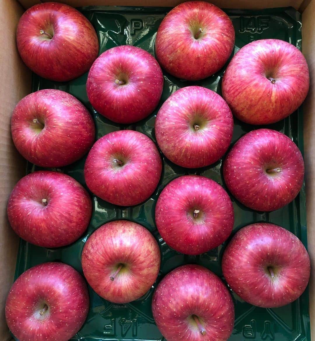 浜崎貴司さんのインスタグラム写真 - (浜崎貴司Instagram)「青森からリンゴが送られてきました。  リンゴを食べるたびに、  リンゴの味って素晴らしいなぁと思います。  リンゴ独特の香り、甘さ、食感、全てが爽やかなのです。  色も形も美しい。  持つと固いけれど、優しく扱いたい感触。  そしてさらに秋田県からきりたんぽ鍋が送られてきました。  毎年この時期にいただくきりたんぽ鍋は最高です。  比内地鶏、長ねぎ、舞茸、糸蒟蒻、ゴボウ、セリ、そしてたんぽ。  これらの具材のハーモニーが見事です！  全国に色んな鍋がありますが、  ここまでの完成度はなかなかないのでは？  なかなか東北に行けていないので、  来年こそはと思っています。  写真は連日の秋田犬。  そして青森の友人が送ってくれたリンゴ。  あ、リンゴで思い出しましたが、  リンゴのマークがついているTHE BEATLESの、  最近出た赤盤はすごかったです。  あれは買って良かった。  特に「ア・ハード・デイズ・ナイト （2023ミックス）」はぶっ飛んだ！  #秋田犬 #りんご  #リンゴ  #赤盤  #thebeatles  #aharddaysnight  #きりたんぽ  #きりたんぽ鍋  #東北いきたい」12月7日 9時06分 - hamazakitakashi_official