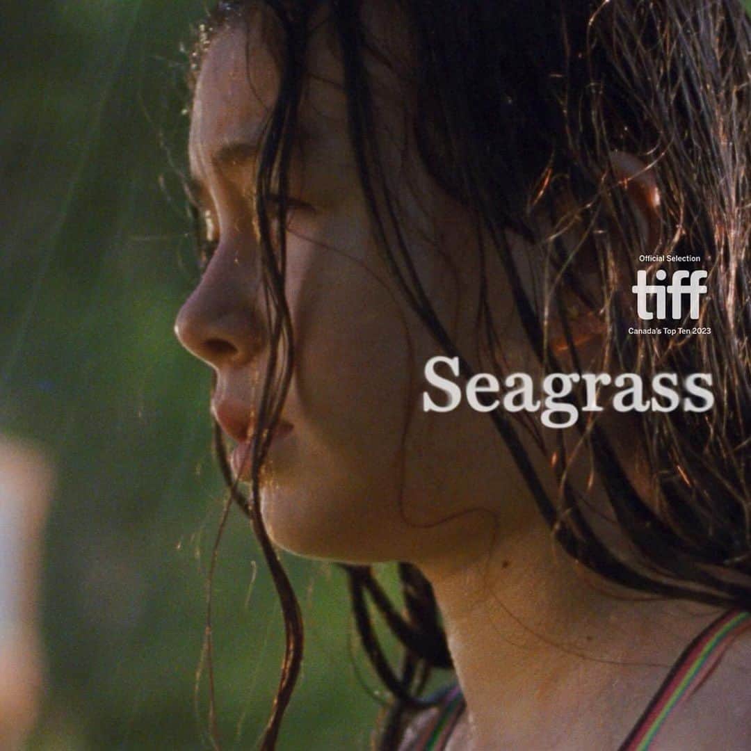 アライ・マキのインスタグラム：「Seagrass was just announced as one of TIFF’s Canada Top Ten 2023. Thank you @tiff_net this is such an honor. See you at the TIFF Lightbox in January 🤍 @seagrassfilm @meredithhamabrown @norm_li」